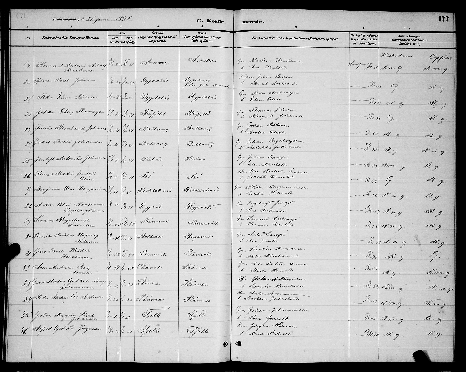 Ministerialprotokoller, klokkerbøker og fødselsregistre - Nordland, AV/SAT-A-1459/863/L0914: Parish register (copy) no. 863C04, 1886-1897, p. 177