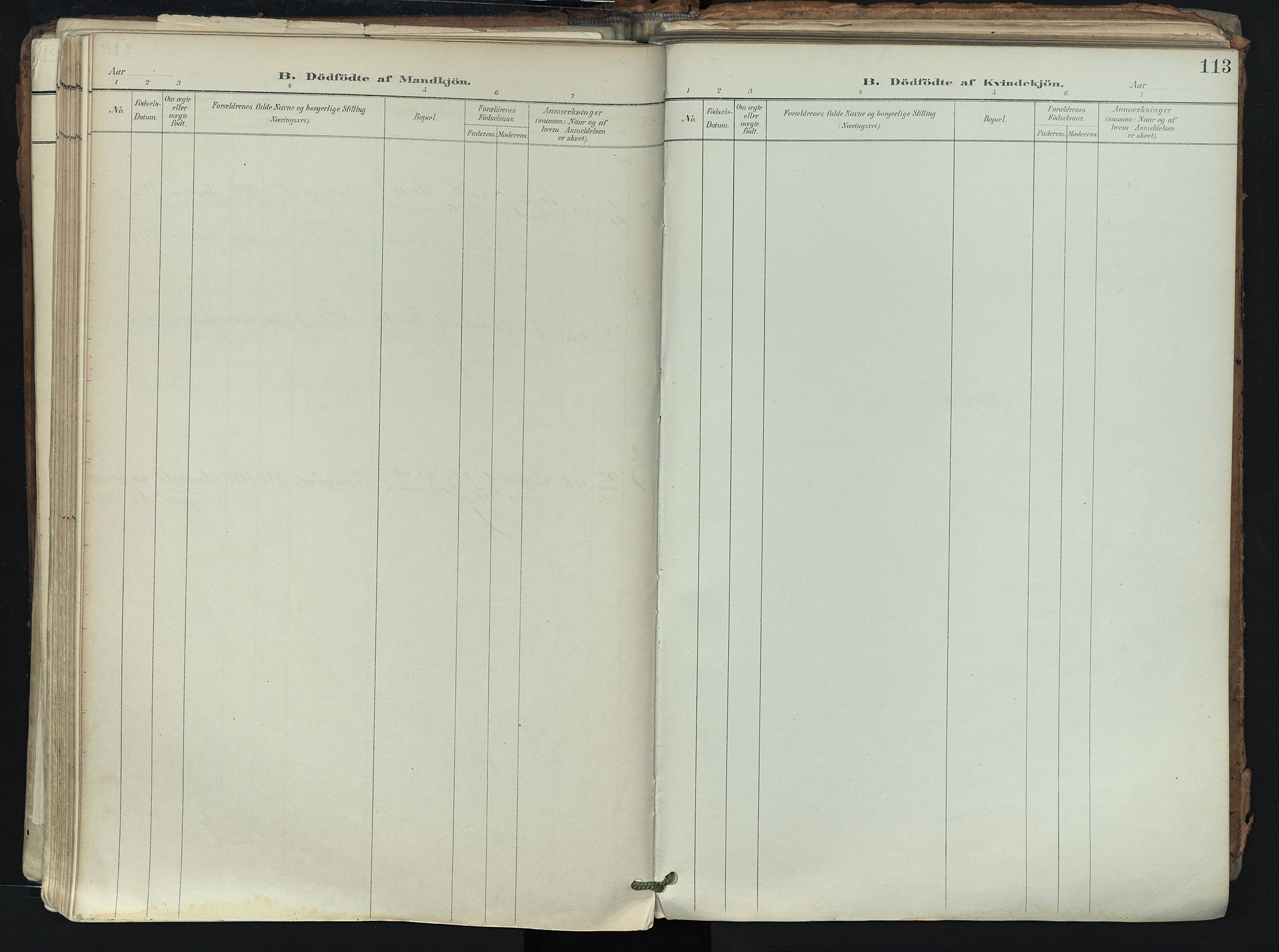 Brunlanes kirkebøker, AV/SAKO-A-342/F/Fb/L0003: Parish register (official) no. II 3, 1900-1922, p. 113