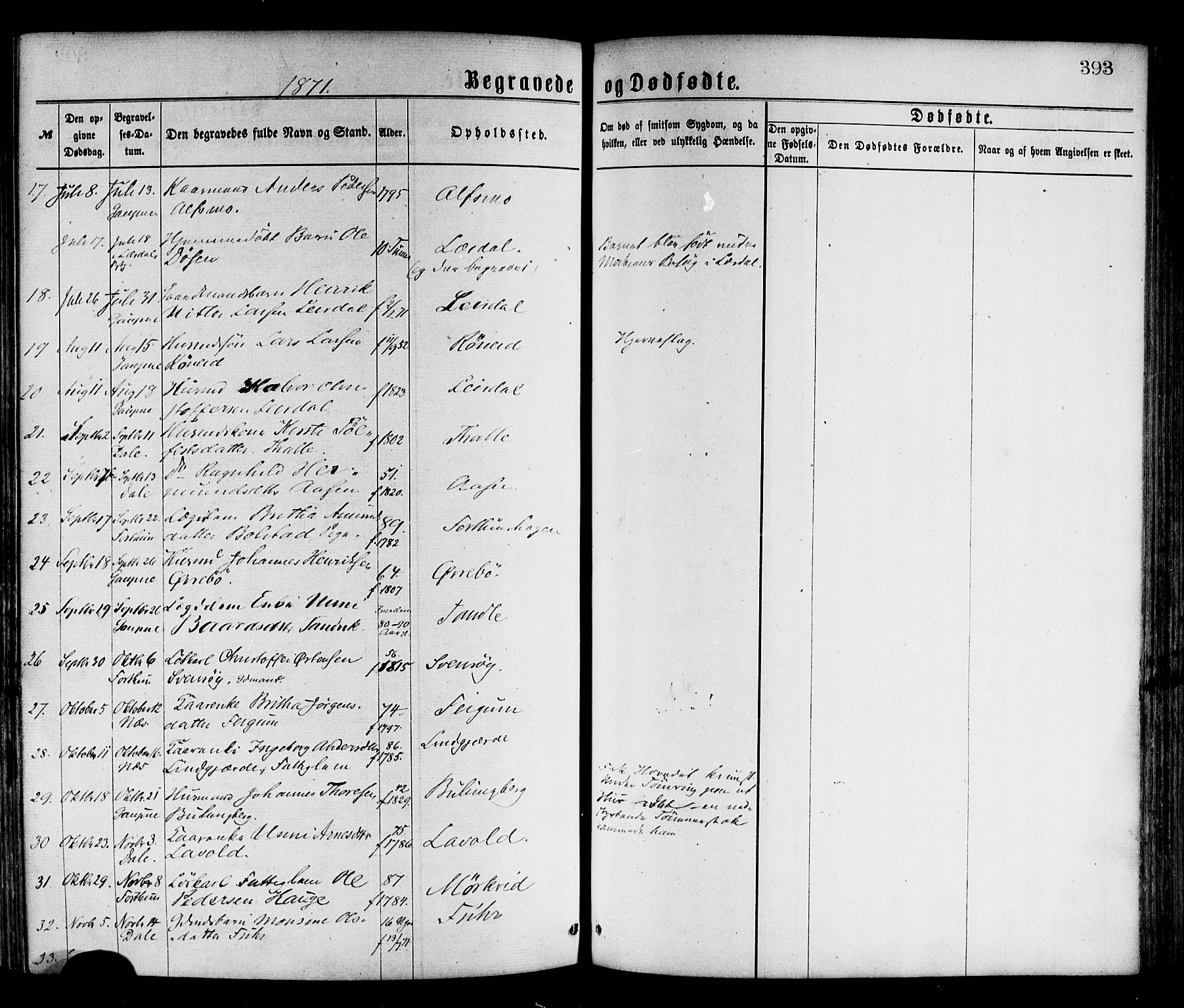 Luster sokneprestembete, AV/SAB-A-81101/H/Haa/Haaa/L0010: Parish register (official) no. A 10, 1871-1886, p. 393