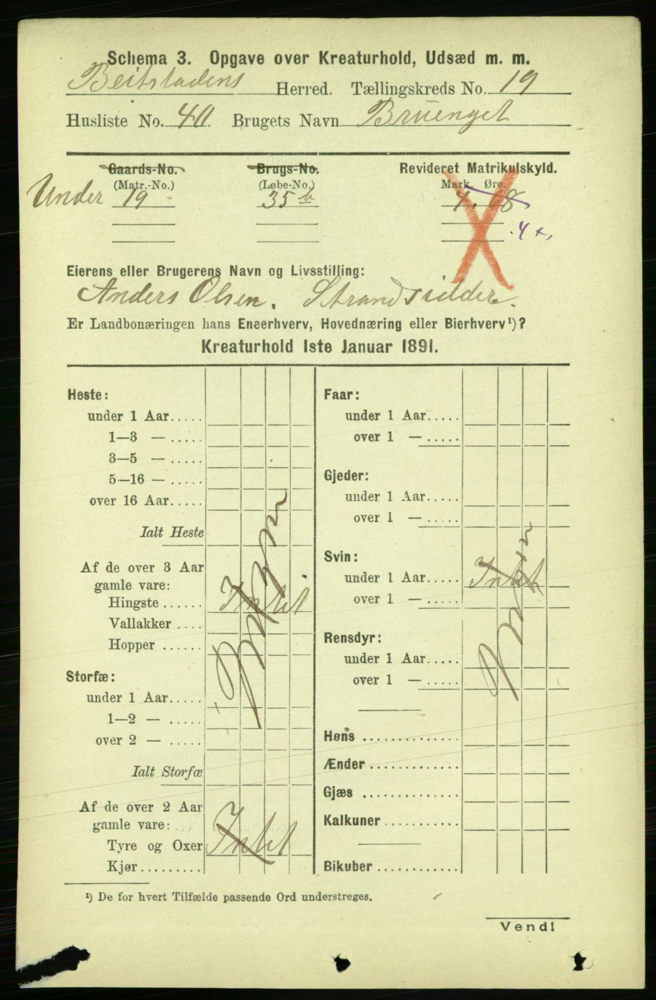 RA, 1891 census for 1727 Beitstad, 1891, p. 6907