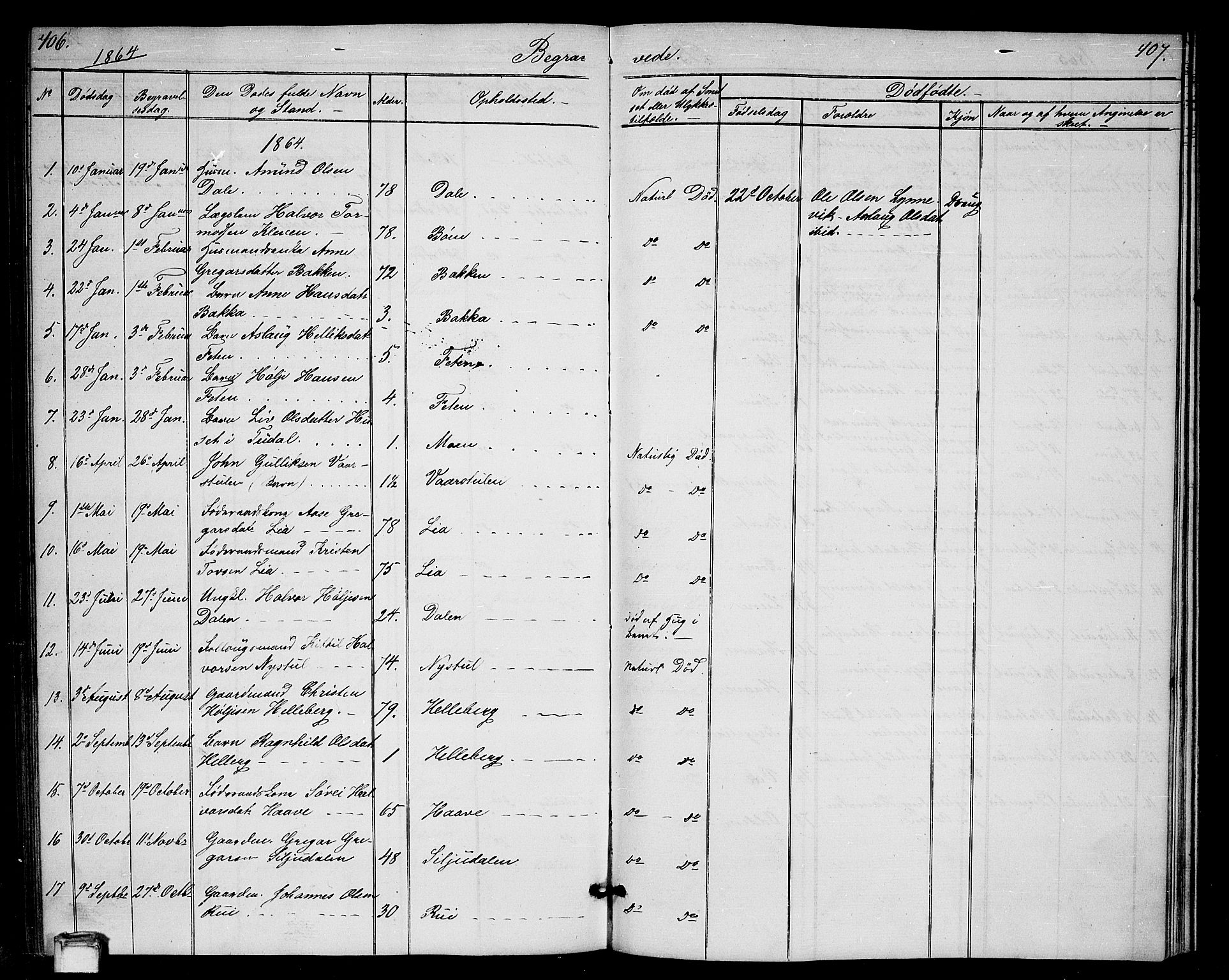 Gransherad kirkebøker, SAKO/A-267/G/Ga/L0002: Parish register (copy) no. I 2, 1854-1886, p. 406-407