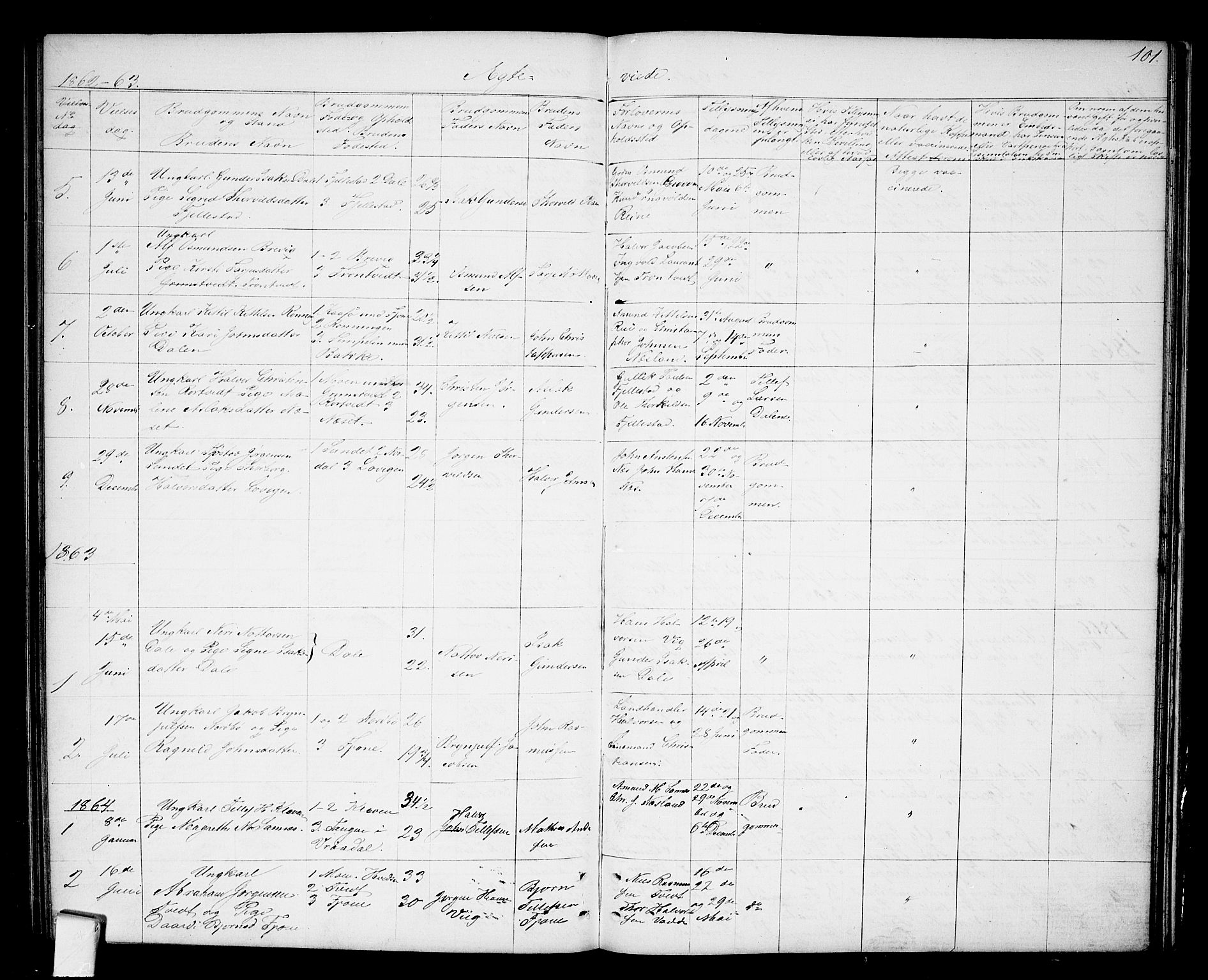 Nissedal kirkebøker, SAKO/A-288/G/Ga/L0002: Parish register (copy) no. I 2, 1861-1887, p. 101