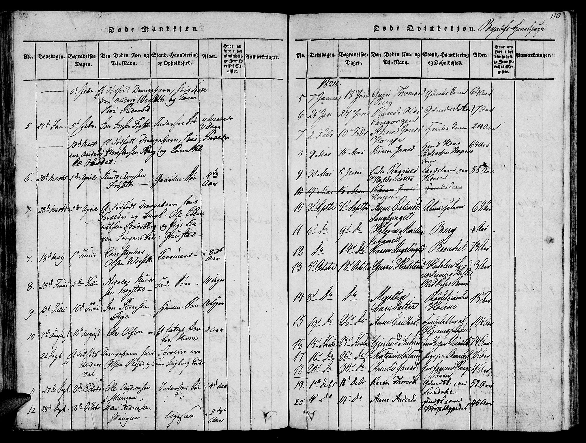 Ministerialprotokoller, klokkerbøker og fødselsregistre - Sør-Trøndelag, SAT/A-1456/612/L0372: Parish register (official) no. 612A06 /1, 1816-1828, p. 110