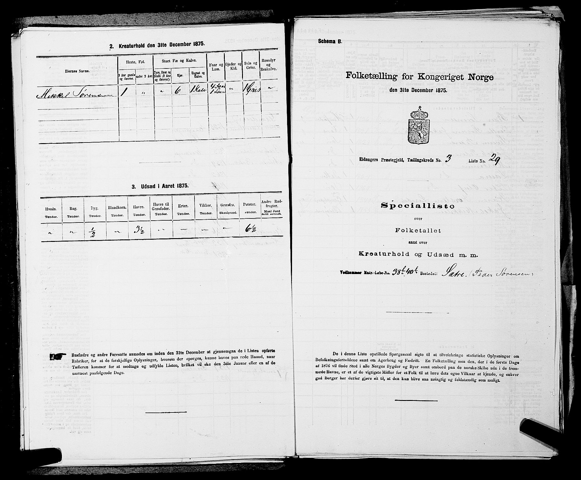 SAKO, 1875 census for 0813P Eidanger, 1875, p. 535