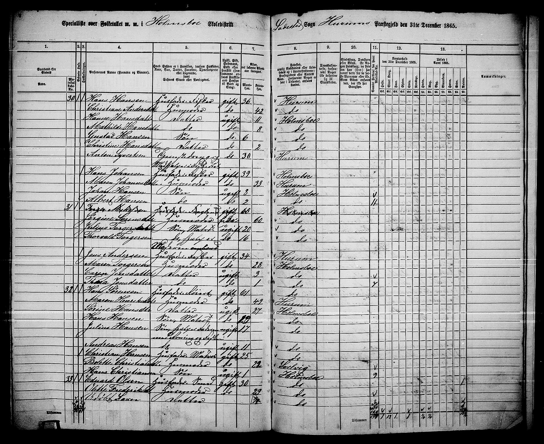 RA, 1865 census for Hurum, 1865, p. 112