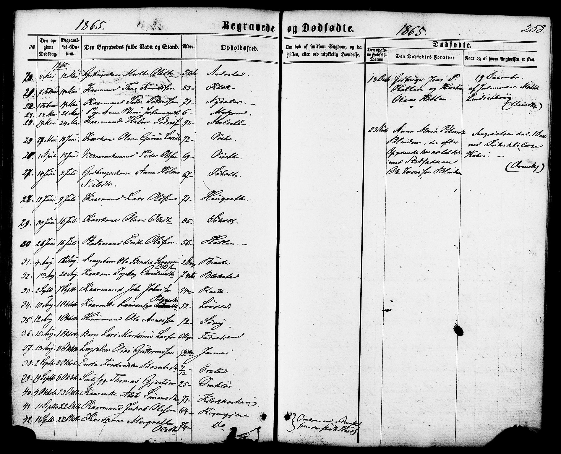 Ministerialprotokoller, klokkerbøker og fødselsregistre - Møre og Romsdal, AV/SAT-A-1454/522/L0314: Parish register (official) no. 522A09, 1863-1877, p. 253