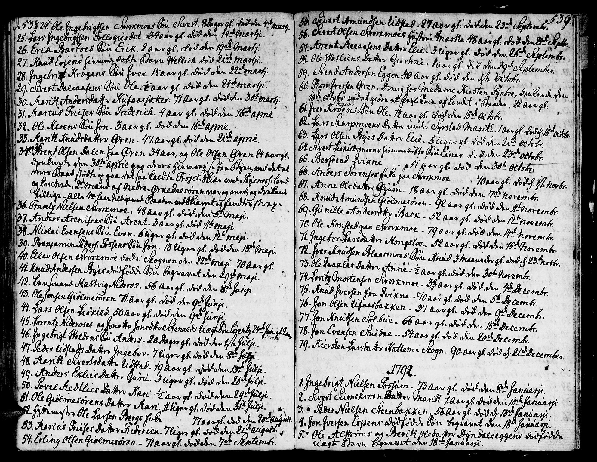 Ministerialprotokoller, klokkerbøker og fødselsregistre - Sør-Trøndelag, SAT/A-1456/668/L0802: Parish register (official) no. 668A02, 1776-1799, p. 538-539