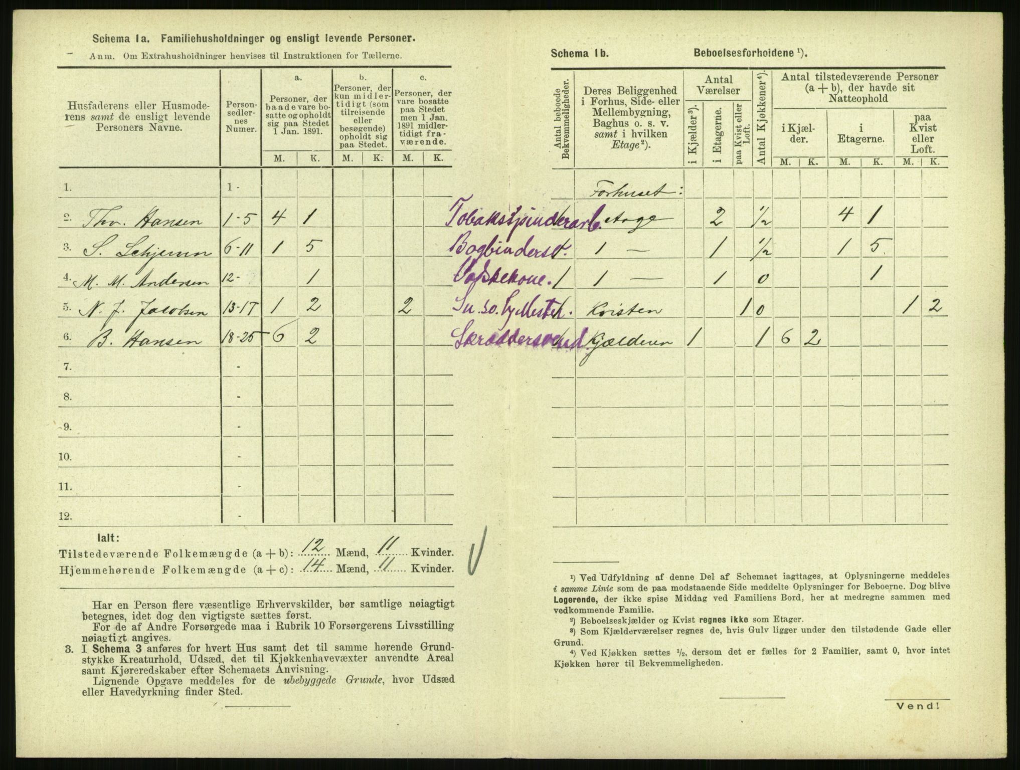 RA, 1891 census for 0707 Larvik, 1891, p. 1126