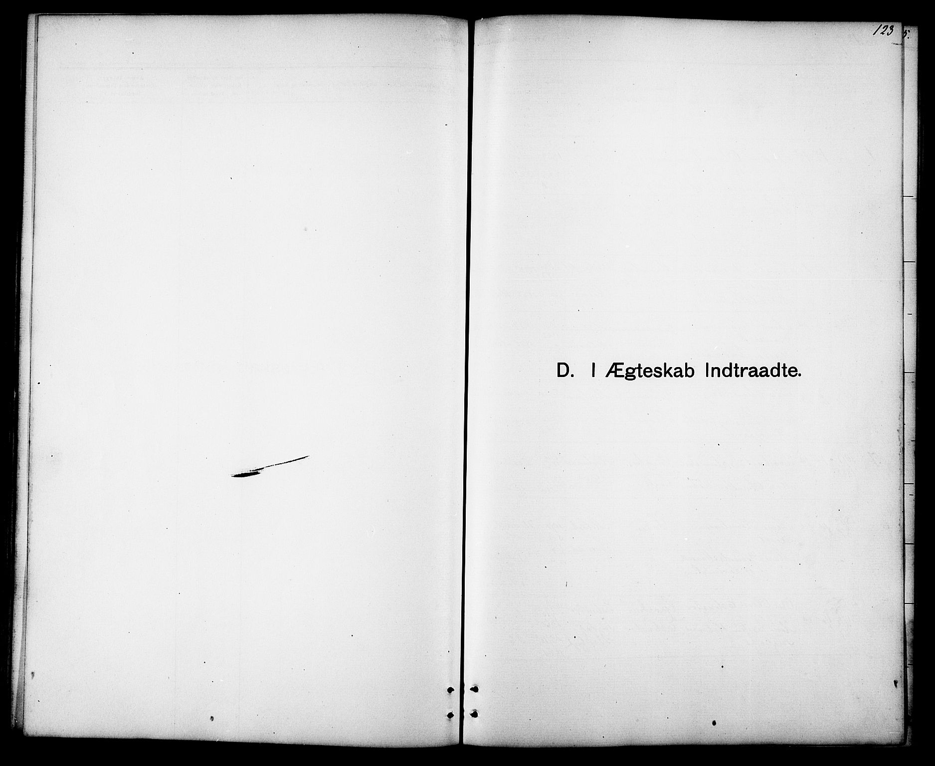 Ministerialprotokoller, klokkerbøker og fødselsregistre - Sør-Trøndelag, SAT/A-1456/694/L1132: Parish register (copy) no. 694C04, 1887-1914, p. 123