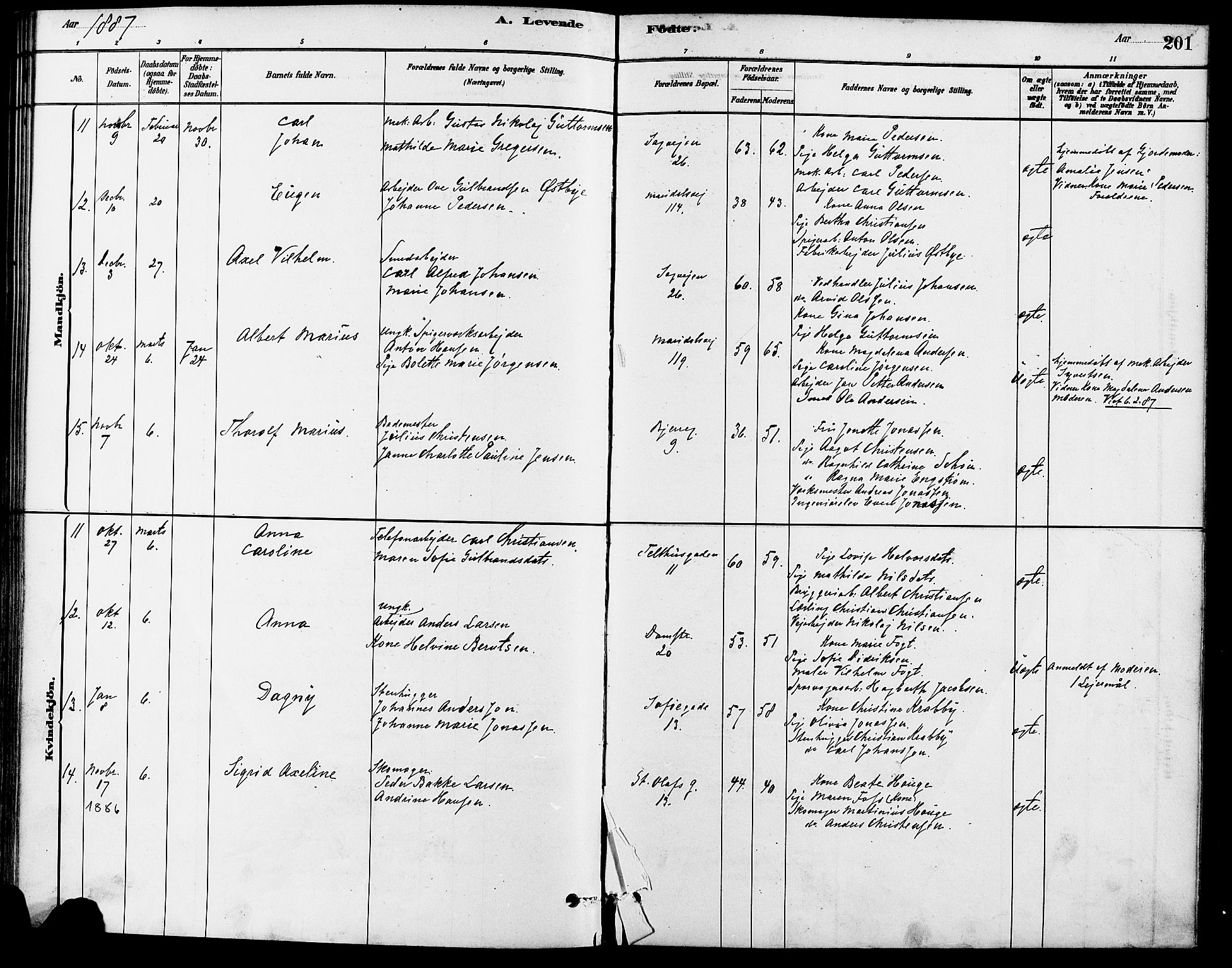 Gamle Aker prestekontor Kirkebøker, AV/SAO-A-10617a/F/L0006: Parish register (official) no. 6, 1880-1887, p. 201