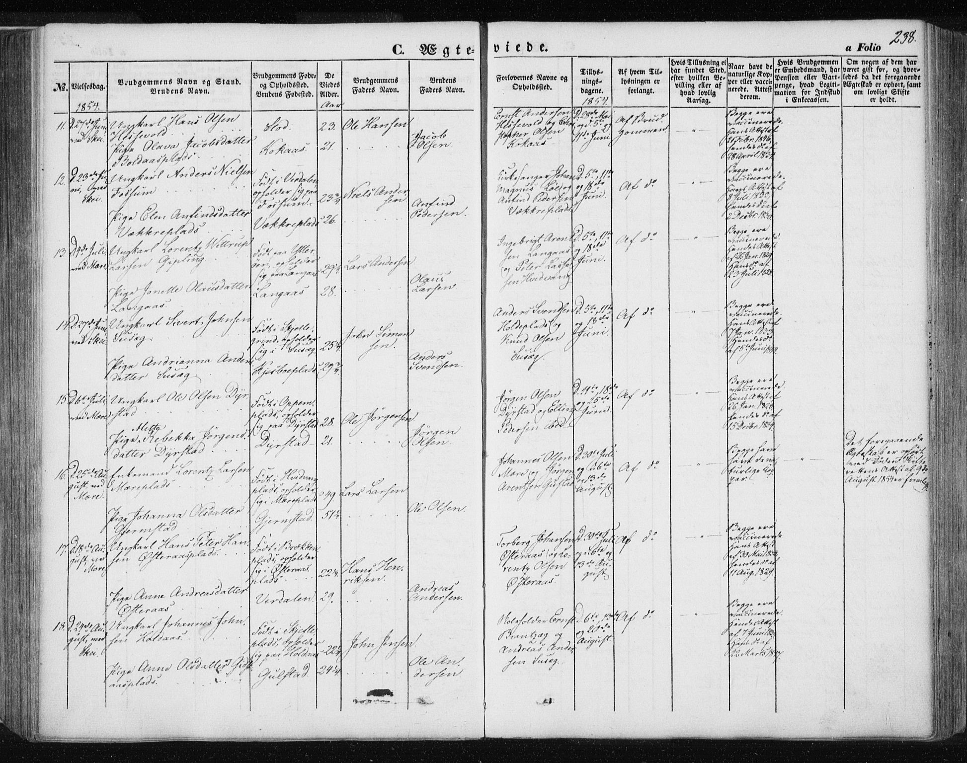 Ministerialprotokoller, klokkerbøker og fødselsregistre - Nord-Trøndelag, AV/SAT-A-1458/735/L0342: Parish register (official) no. 735A07 /1, 1849-1862, p. 238