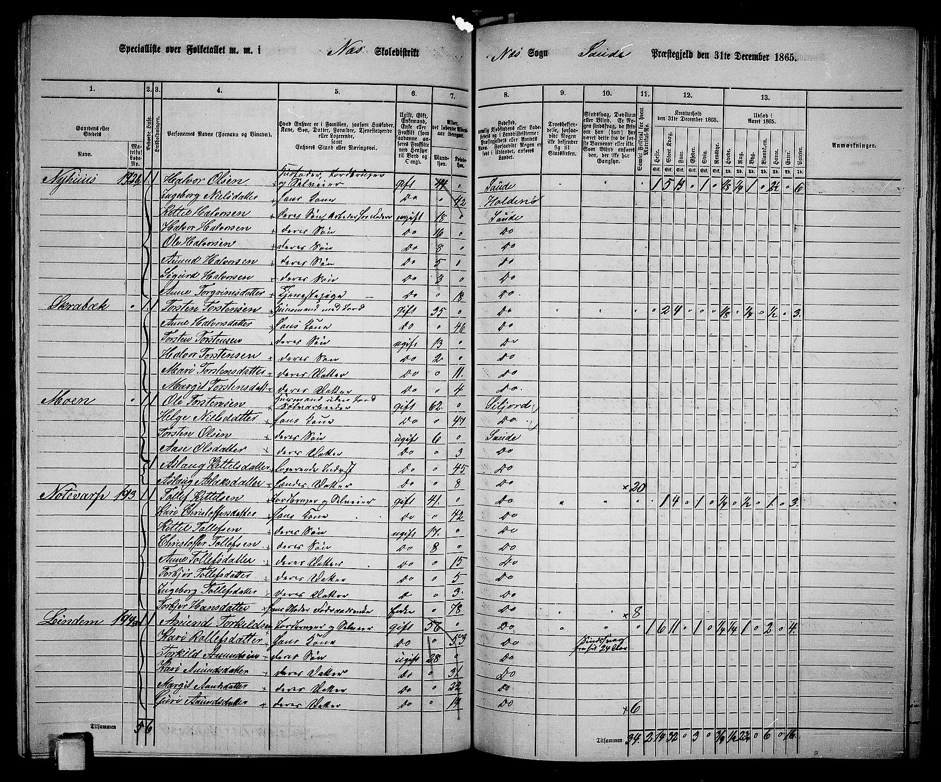 RA, 1865 census for Sauherad, 1865, p. 129