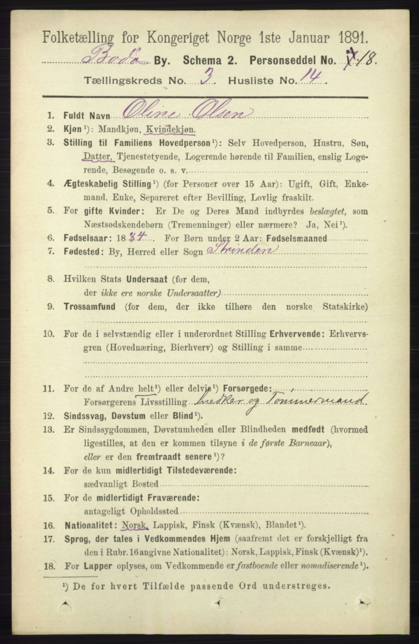 RA, 1891 census for 1804 Bodø, 1891, p. 2197