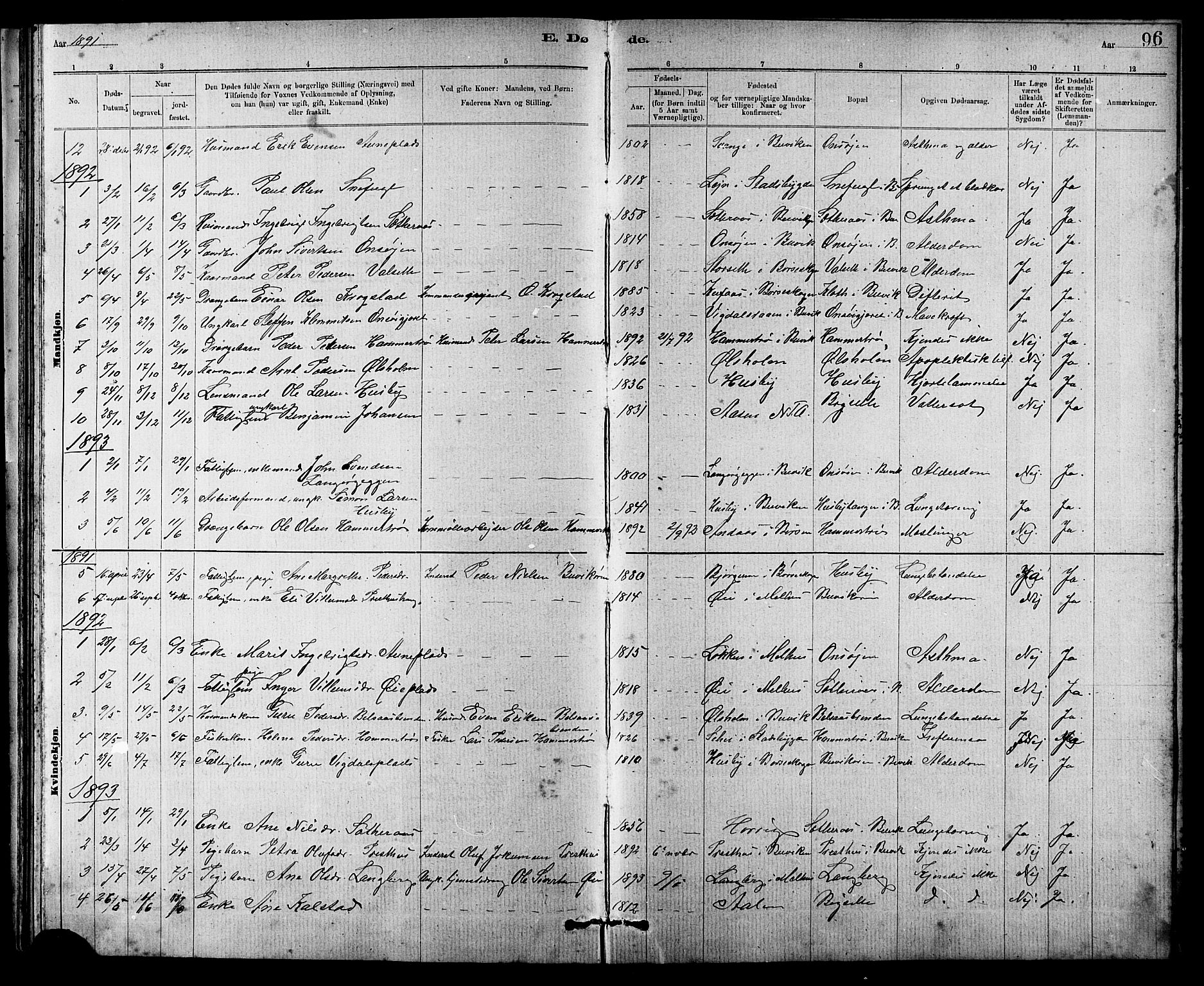 Ministerialprotokoller, klokkerbøker og fødselsregistre - Sør-Trøndelag, SAT/A-1456/666/L0790: Parish register (copy) no. 666C03, 1885-1908, p. 96