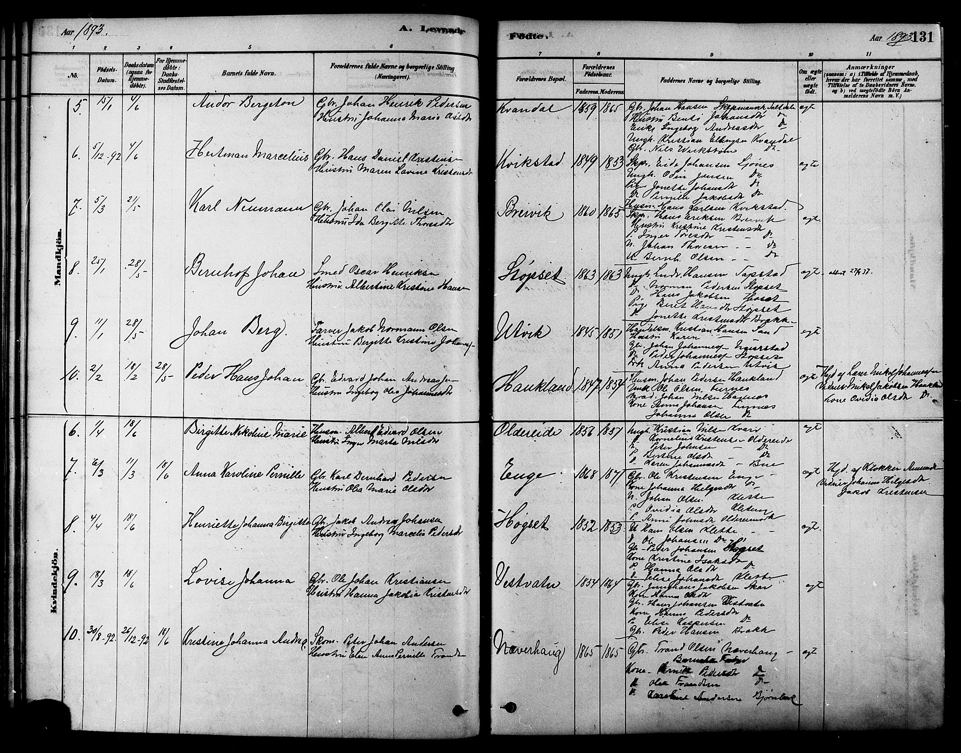 Ministerialprotokoller, klokkerbøker og fødselsregistre - Nordland, AV/SAT-A-1459/852/L0740: Parish register (official) no. 852A10, 1878-1894, p. 131