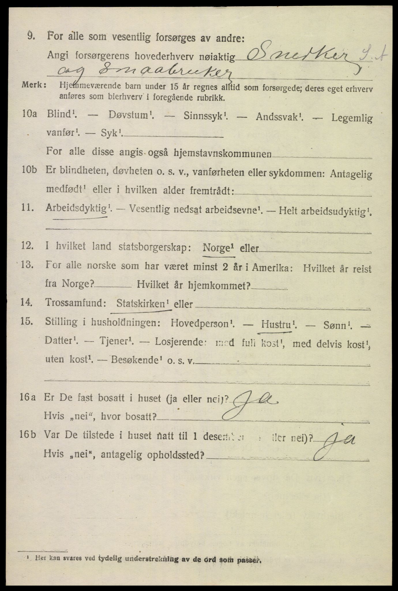 SAK, 1920 census for Hornnes, 1920, p. 2474