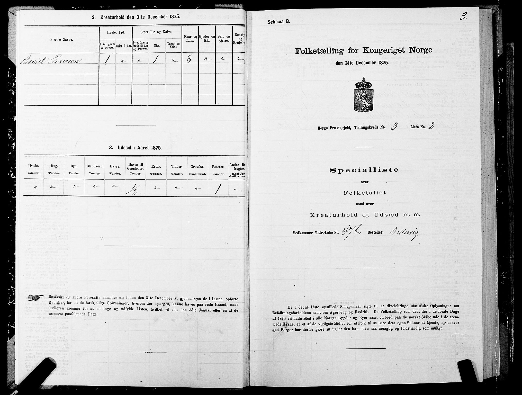 SATØ, 1875 census for 1929P Berg, 1875, p. 2003