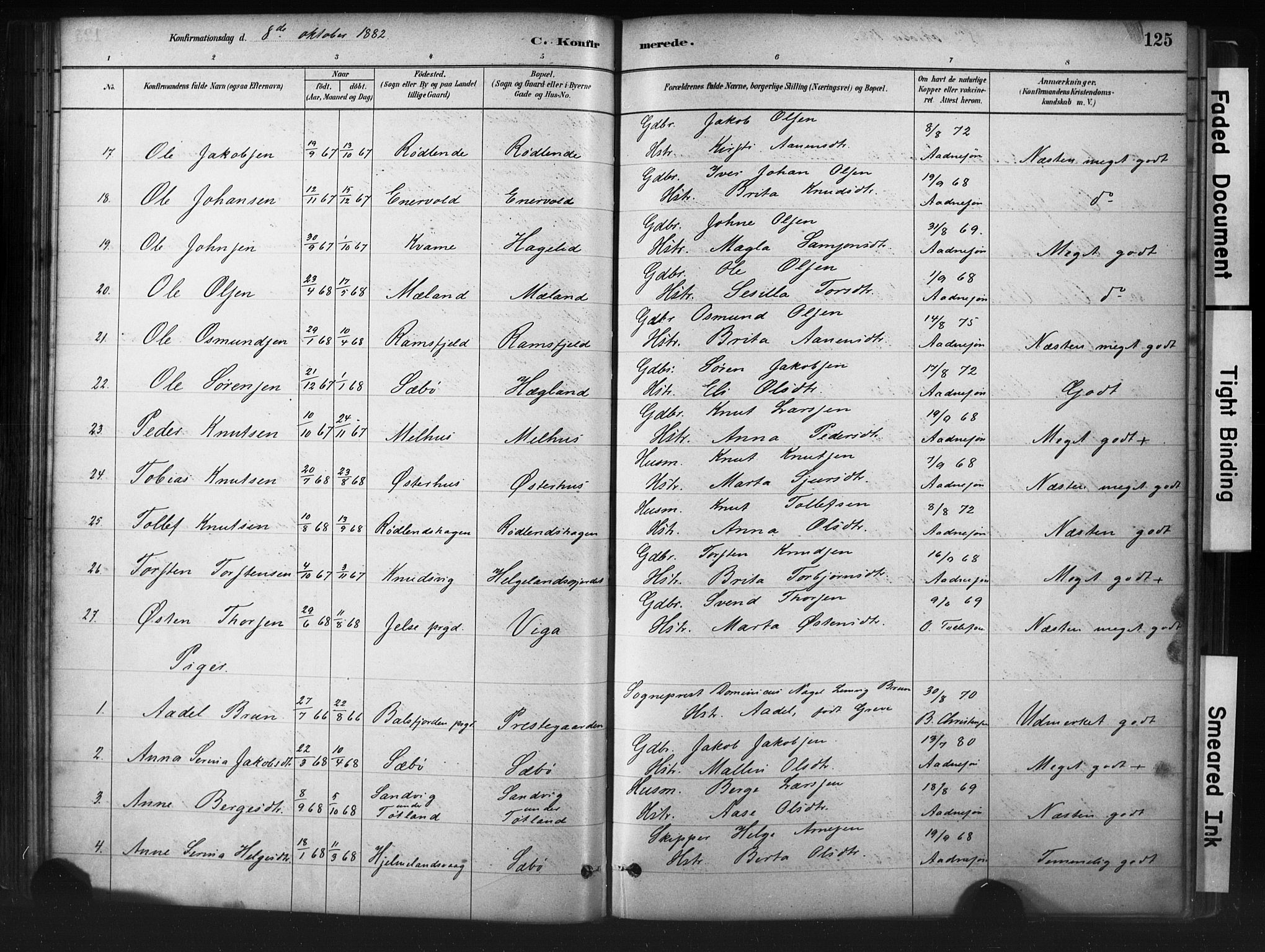 Hjelmeland sokneprestkontor, AV/SAST-A-101843/01/IV/L0014: Parish register (official) no. A 14, 1879-1900, p. 125