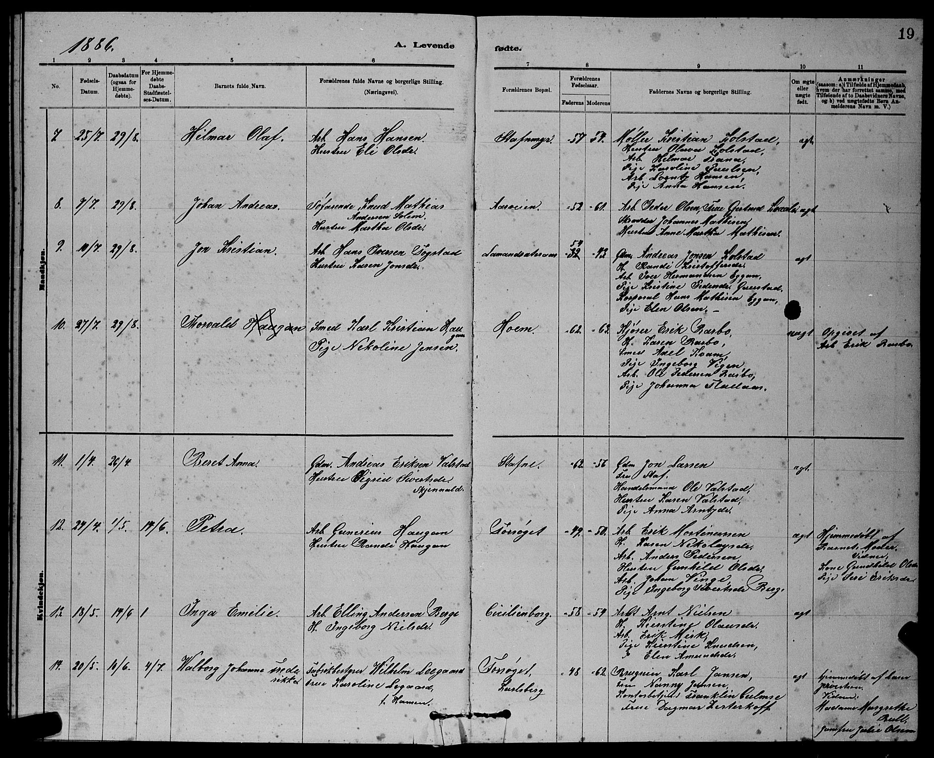 Ministerialprotokoller, klokkerbøker og fødselsregistre - Sør-Trøndelag, SAT/A-1456/611/L0354: Parish register (copy) no. 611C02, 1881-1896, p. 19