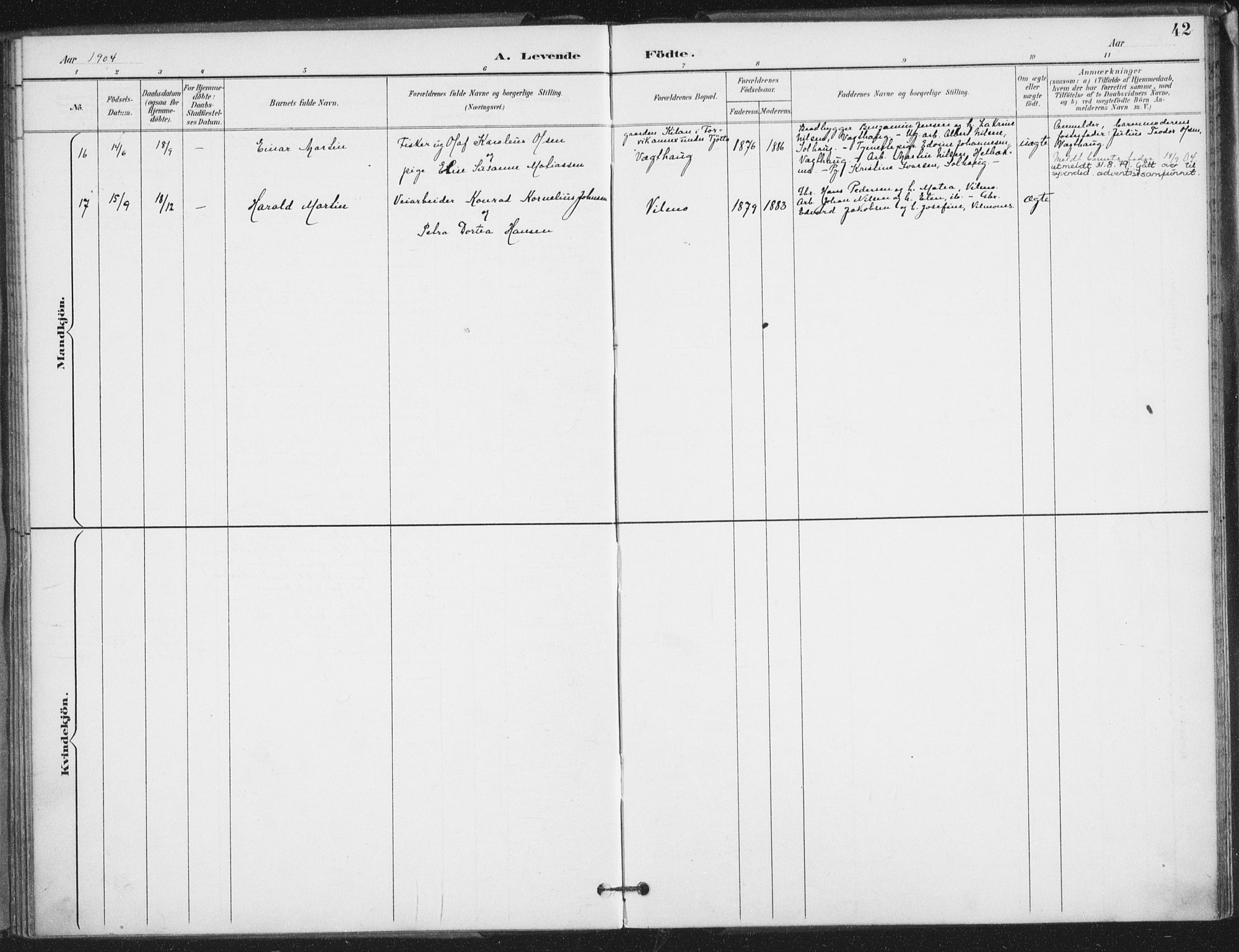 Ministerialprotokoller, klokkerbøker og fødselsregistre - Nordland, SAT/A-1459/826/L0380: Parish register (official) no. 826A03, 1891-1911, p. 42