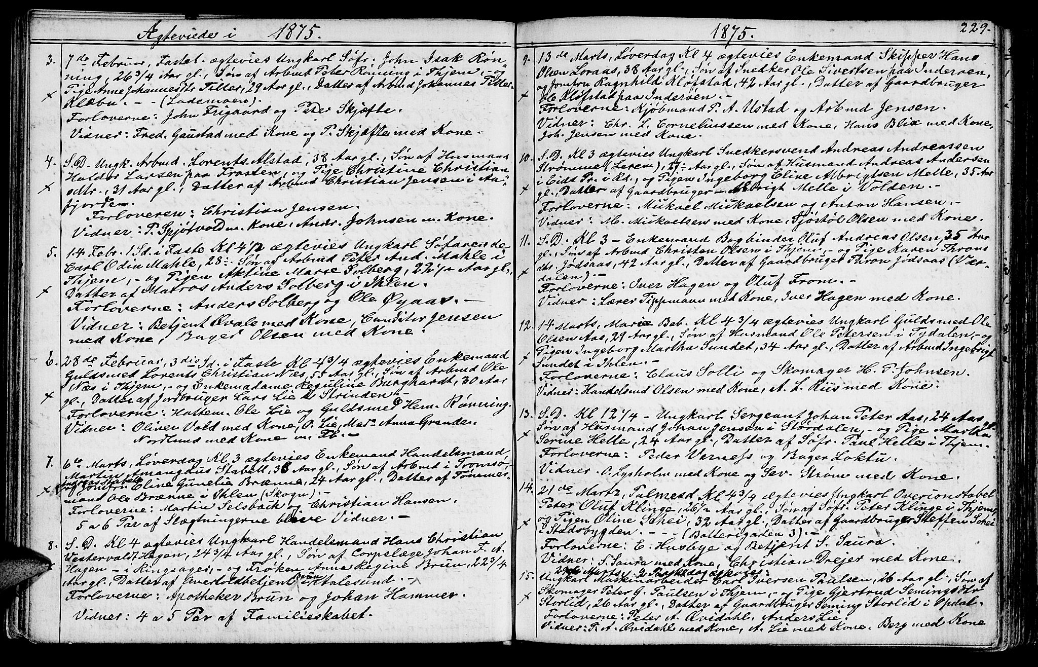 Ministerialprotokoller, klokkerbøker og fødselsregistre - Sør-Trøndelag, SAT/A-1456/602/L0142: Parish register (copy) no. 602C10, 1872-1894, p. 229