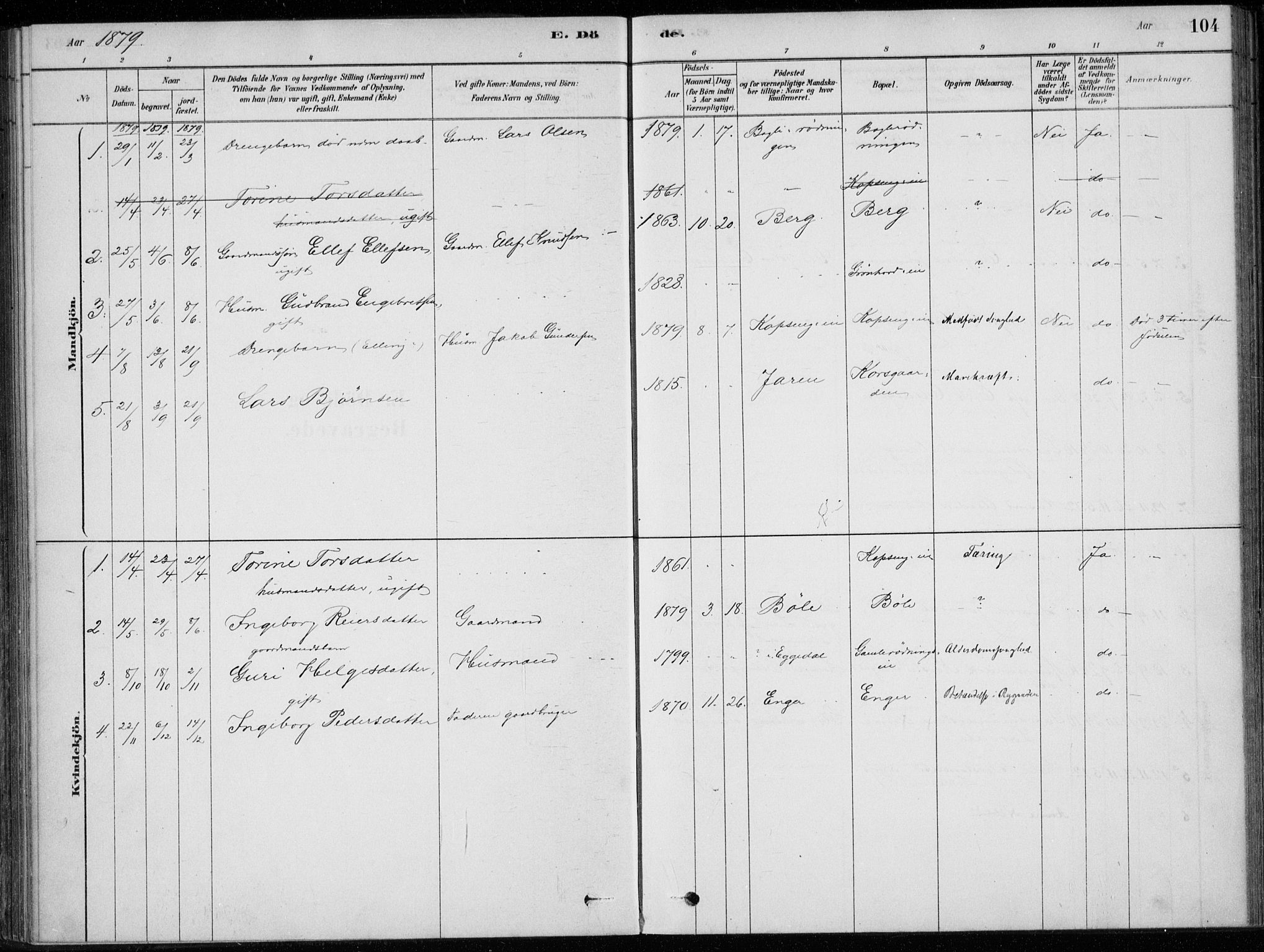 Sigdal kirkebøker, SAKO/A-245/F/Fc/L0001: Parish register (official) no. III 1, 1879-1893, p. 104