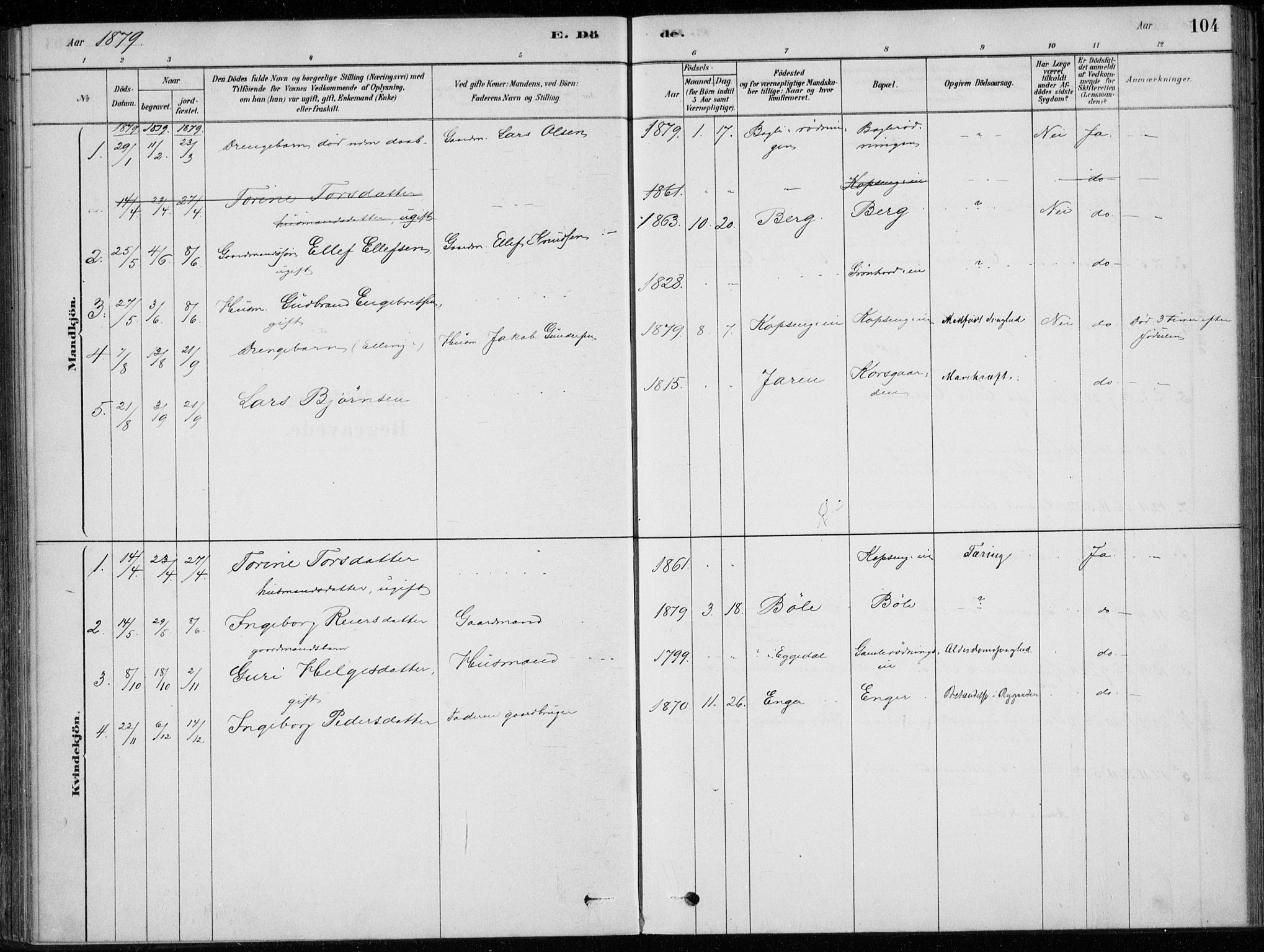 Sigdal kirkebøker, AV/SAKO-A-245/F/Fc/L0001: Parish register (official) no. III 1, 1879-1893, p. 104