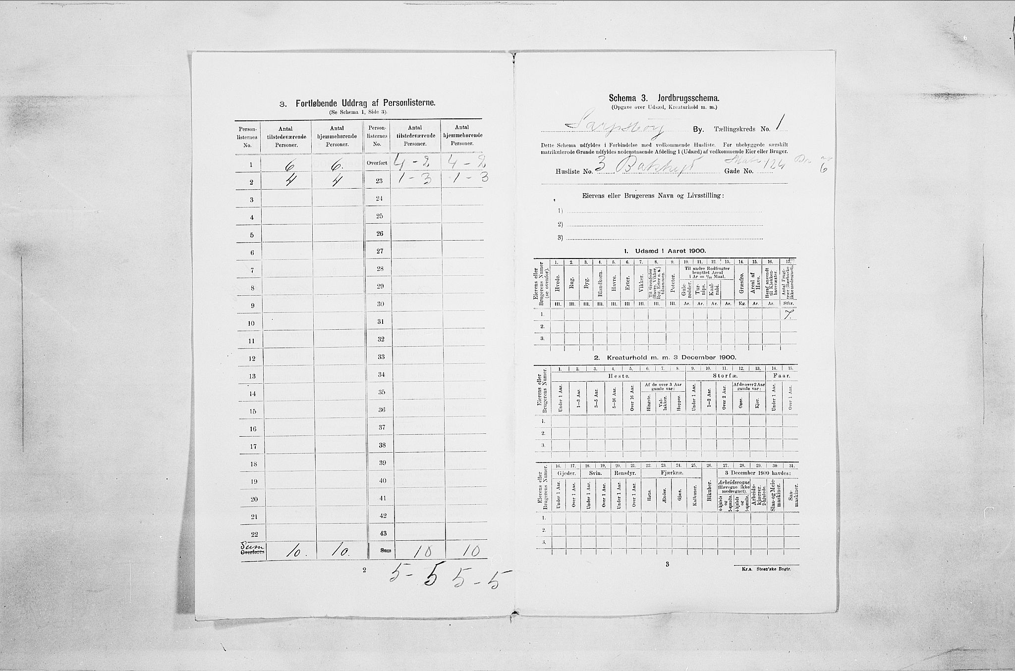 SAO, 1900 census for Sarpsborg, 1900