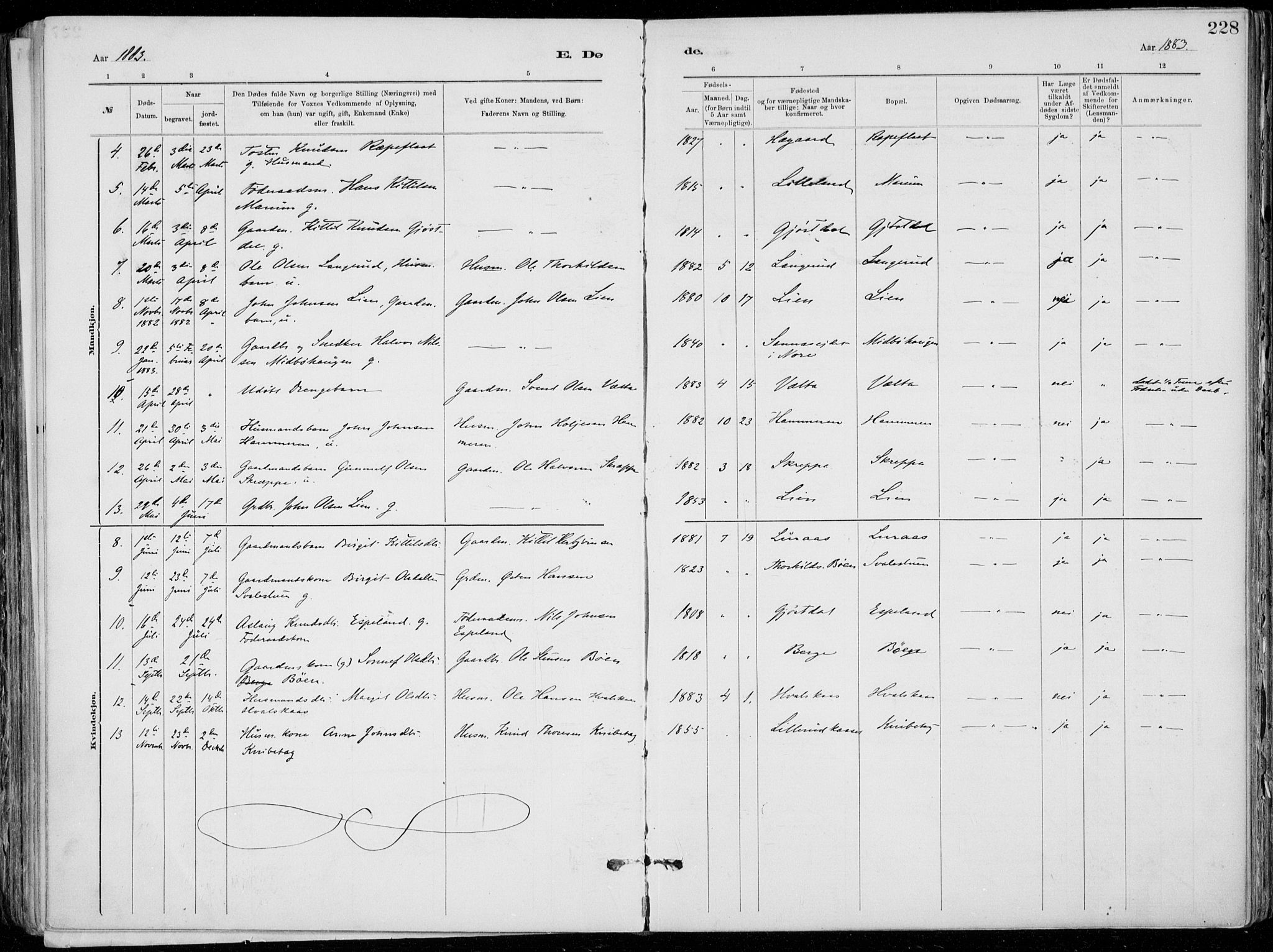 Tinn kirkebøker, AV/SAKO-A-308/F/Fa/L0007: Parish register (official) no. I 7, 1878-1922, p. 228
