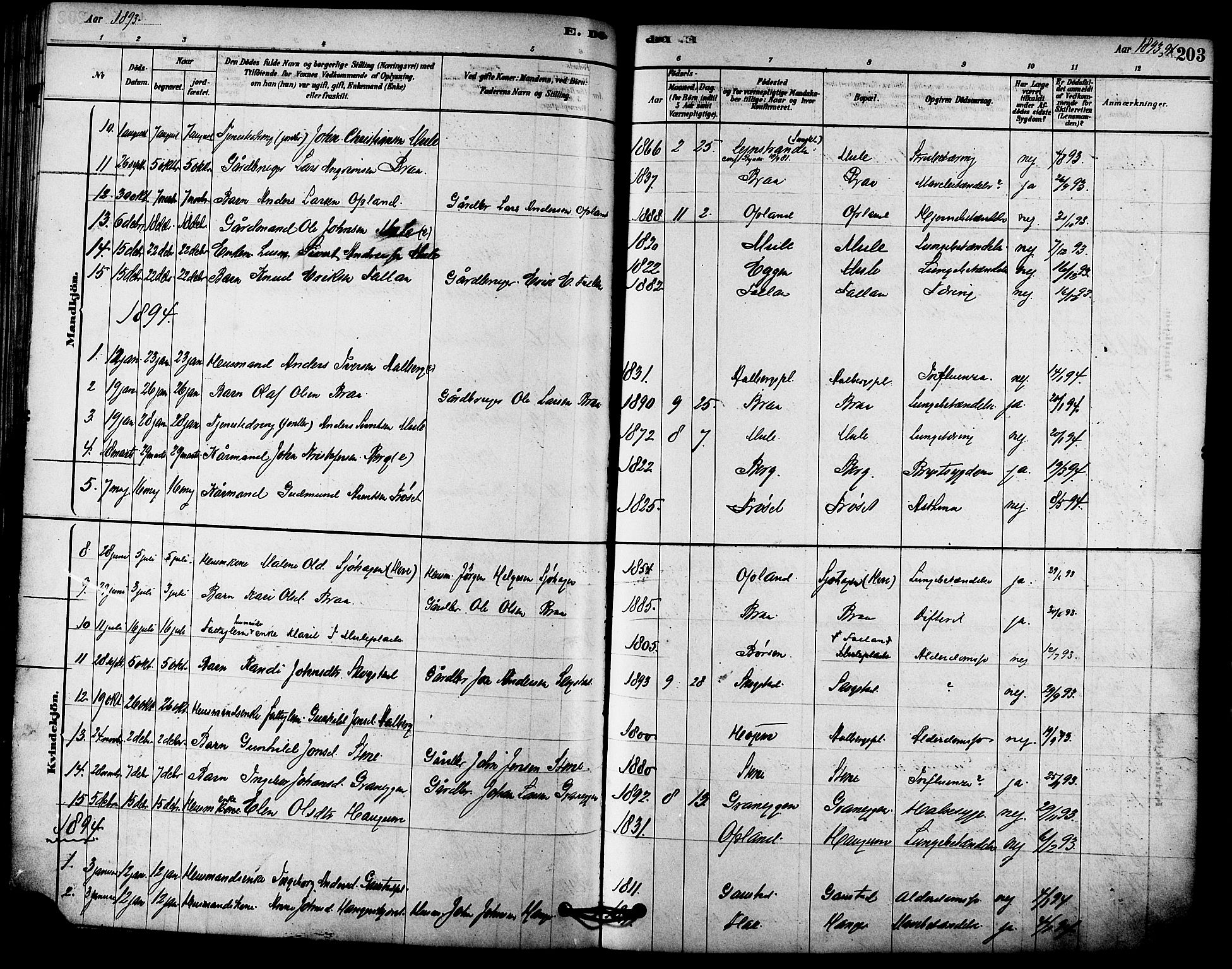 Ministerialprotokoller, klokkerbøker og fødselsregistre - Sør-Trøndelag, SAT/A-1456/612/L0378: Parish register (official) no. 612A10, 1878-1897, p. 203
