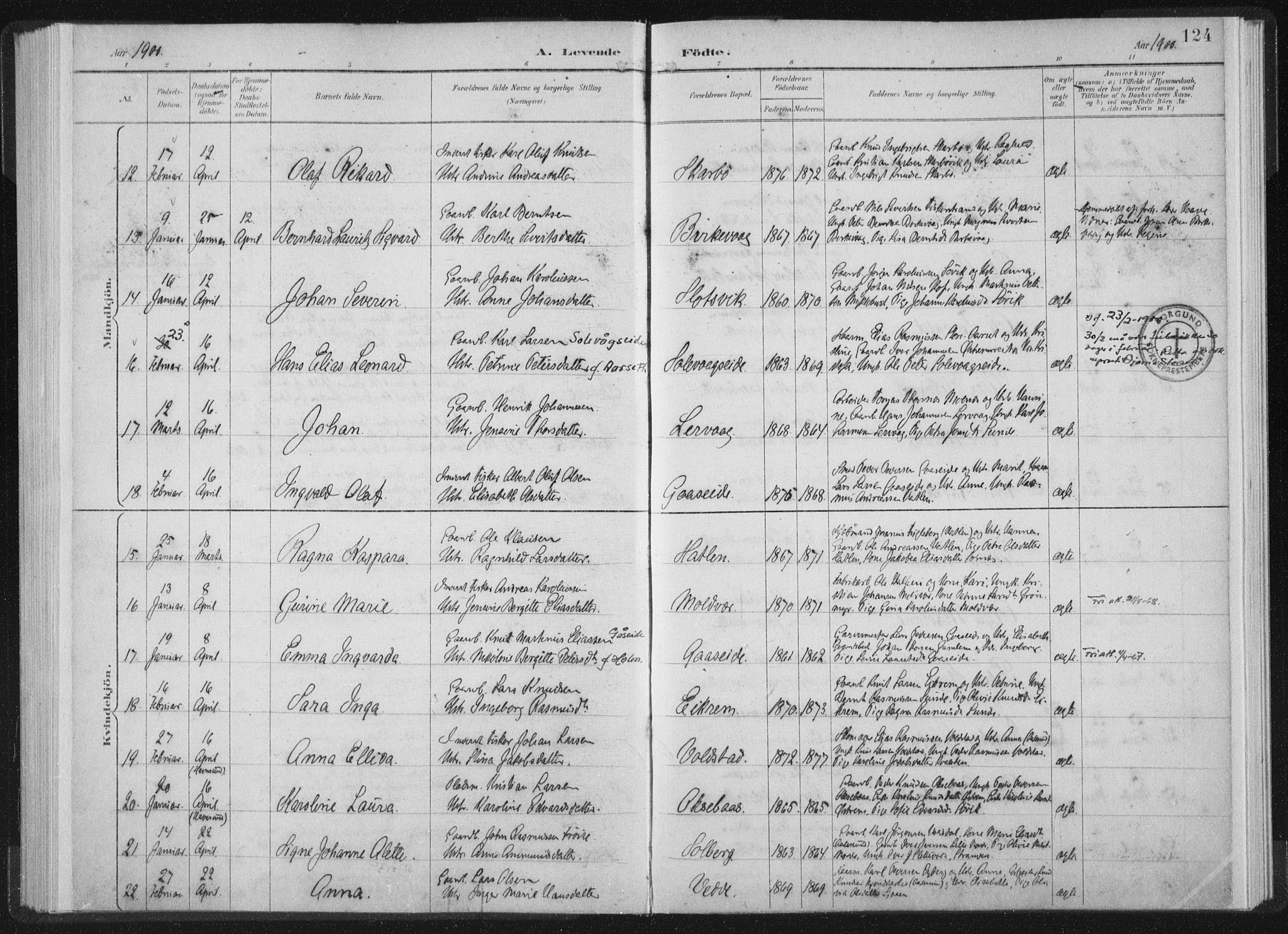 Ministerialprotokoller, klokkerbøker og fødselsregistre - Møre og Romsdal, AV/SAT-A-1454/528/L0405: Parish register (official) no. 528A14, 1891-1906, p. 124