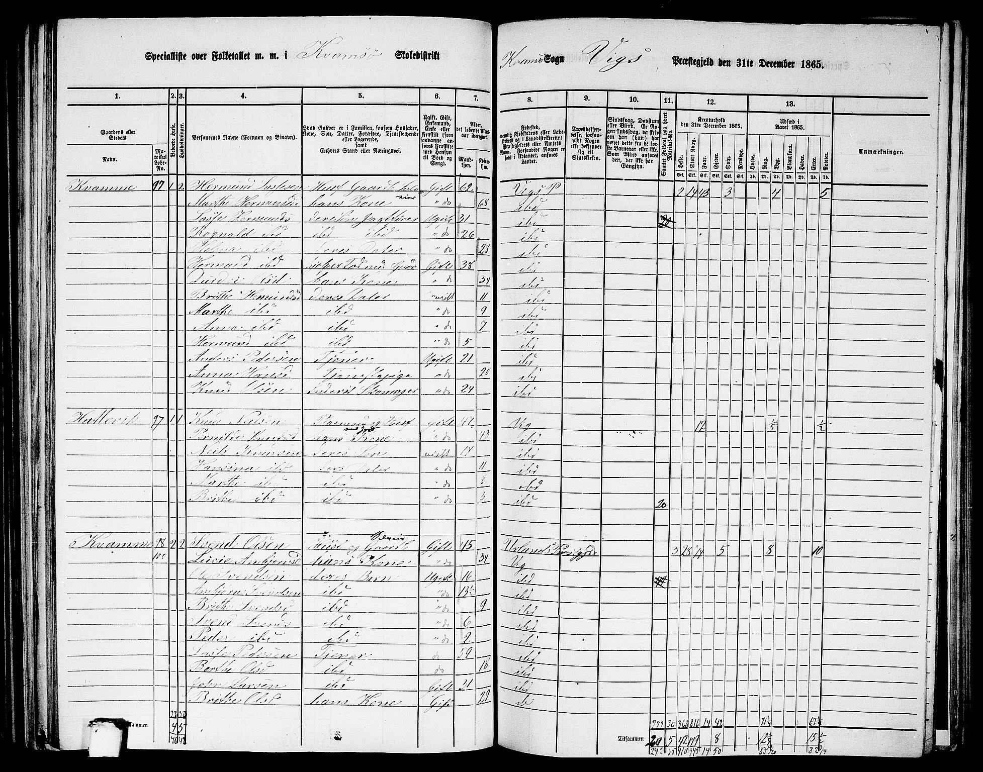 RA, 1865 census for Vik, 1865, p. 129