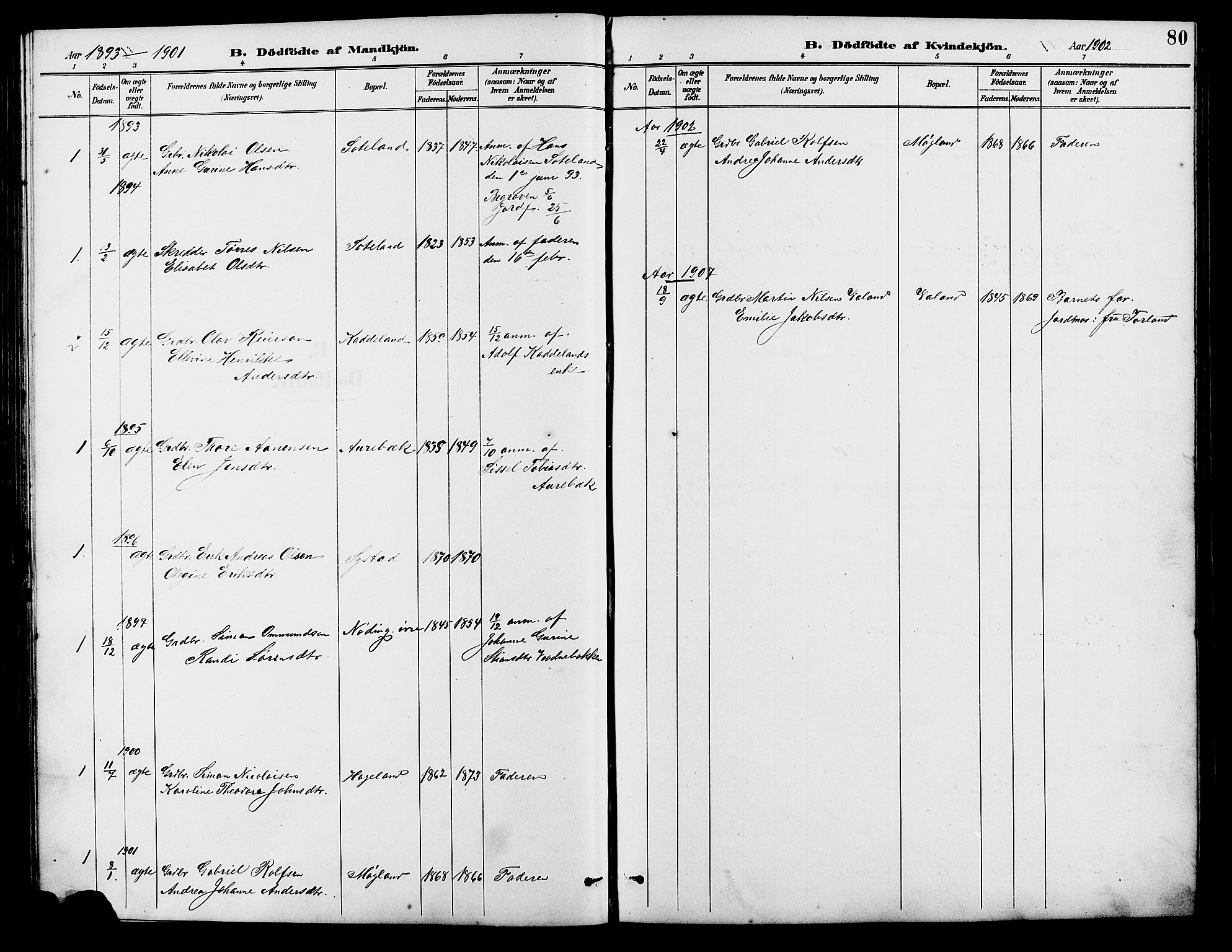 Holum sokneprestkontor, SAK/1111-0022/F/Fb/Fba/L0005: Parish register (copy) no. B 5, 1891-1909, p. 80