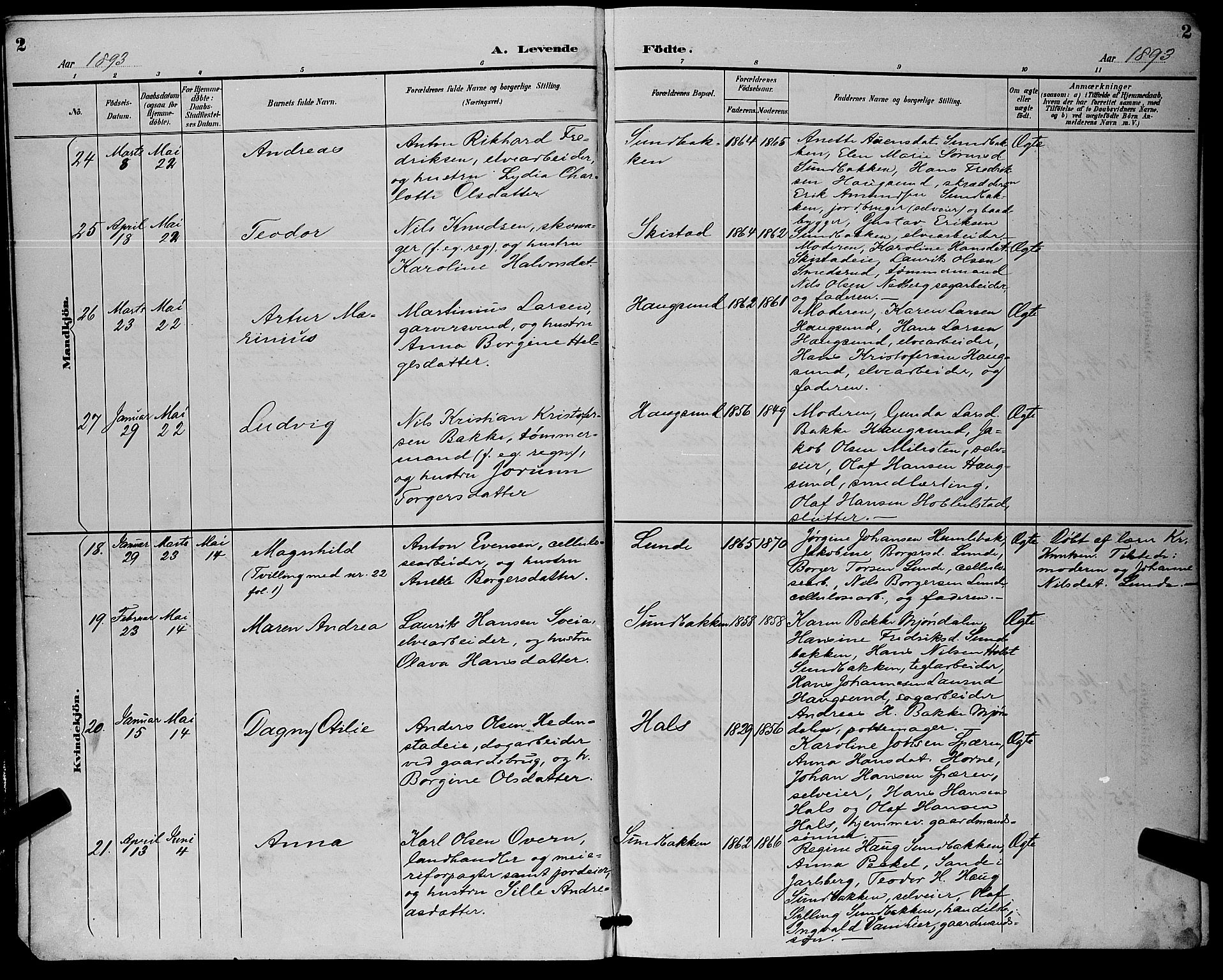 Eiker kirkebøker, AV/SAKO-A-4/G/Ga/L0007: Parish register (copy) no. I 7, 1893-1902, p. 2