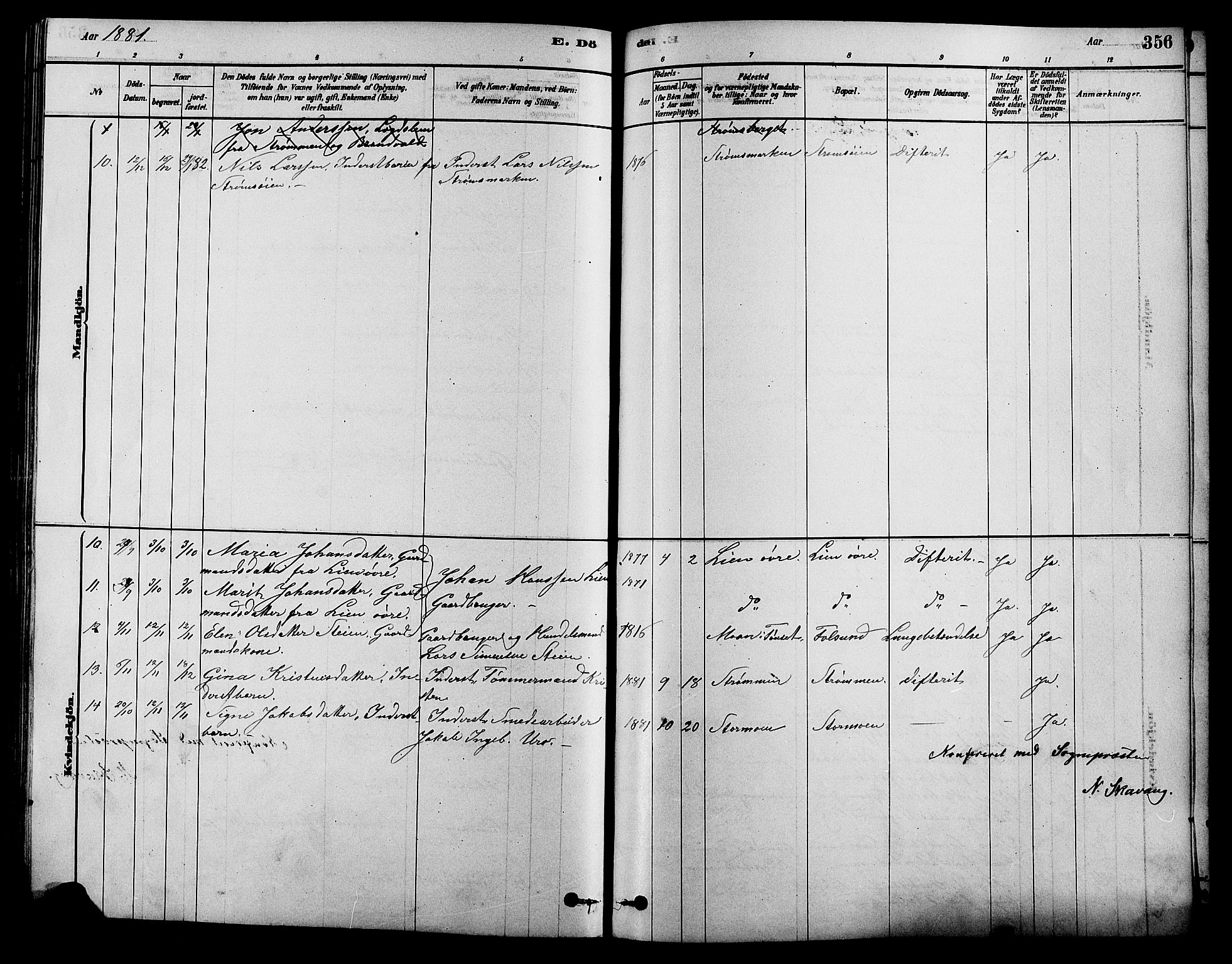 Alvdal prestekontor, SAH/PREST-060/H/Ha/Hab/L0003: Parish register (copy) no. 3, 1878-1907, p. 356