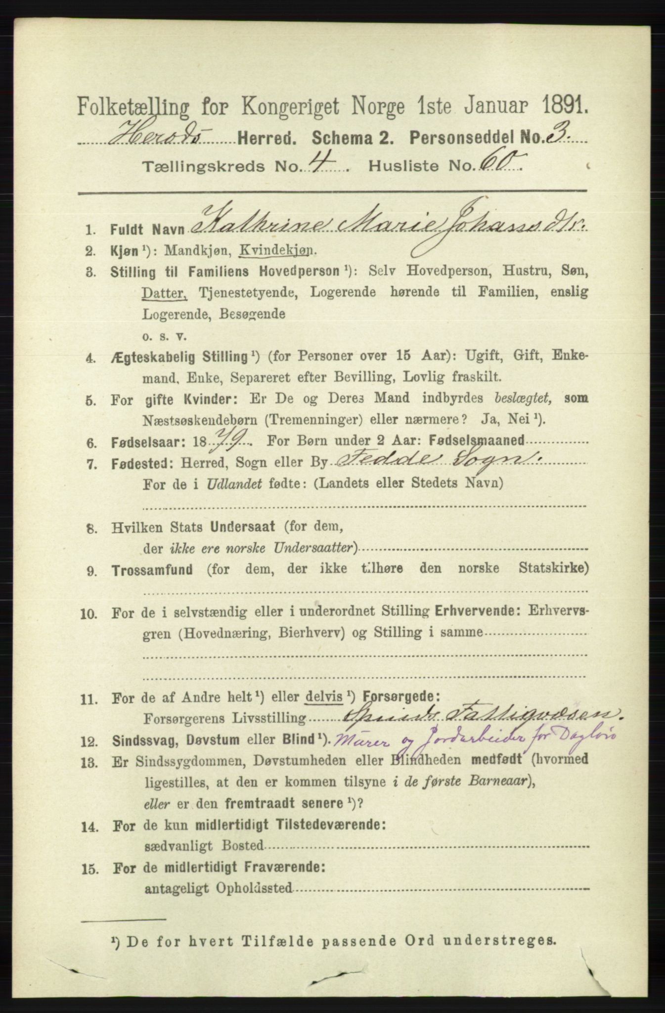 RA, 1891 census for 1039 Herad, 1891, p. 1666