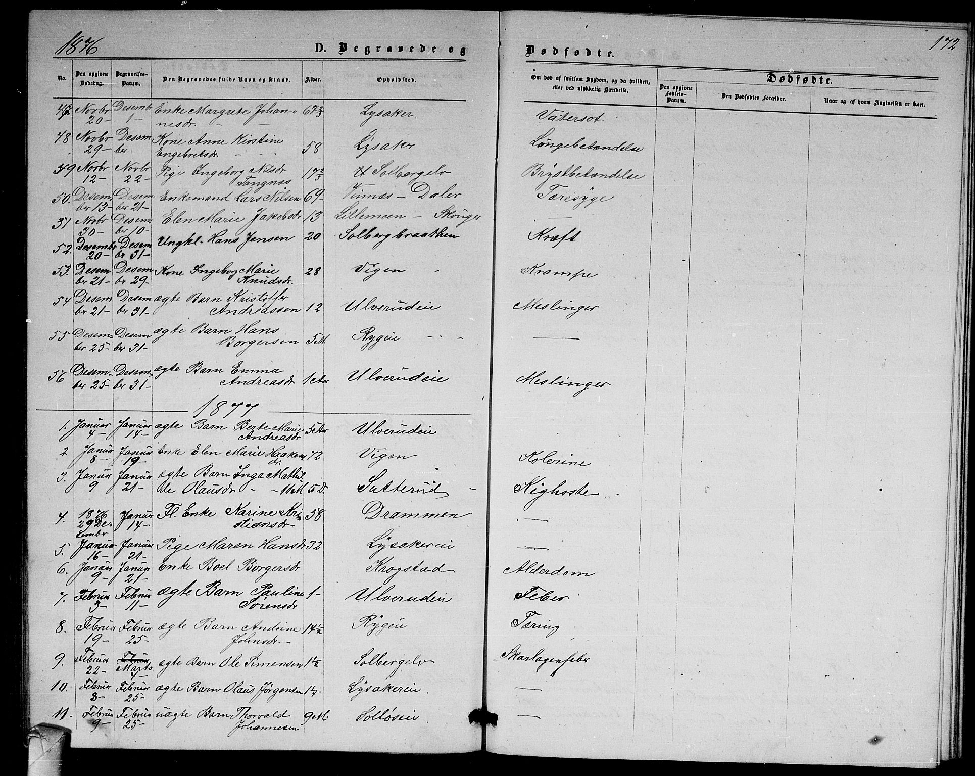 Nedre Eiker kirkebøker, AV/SAKO-A-612/G/Ga/L0001: Parish register (copy) no. 1, 1873-1880, p. 172