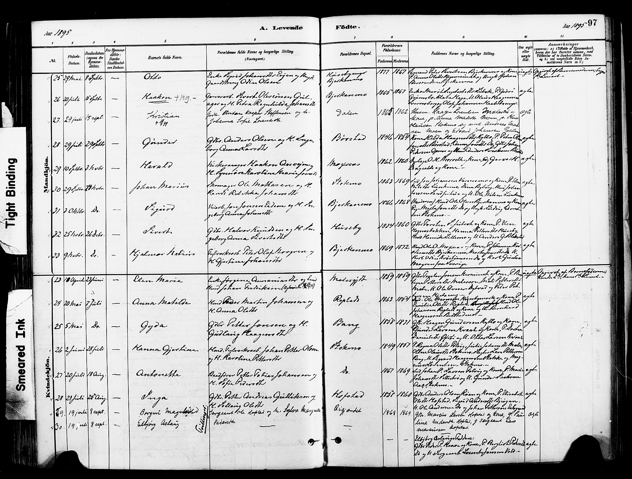 Ministerialprotokoller, klokkerbøker og fødselsregistre - Nord-Trøndelag, AV/SAT-A-1458/709/L0077: Parish register (official) no. 709A17, 1880-1895, p. 97