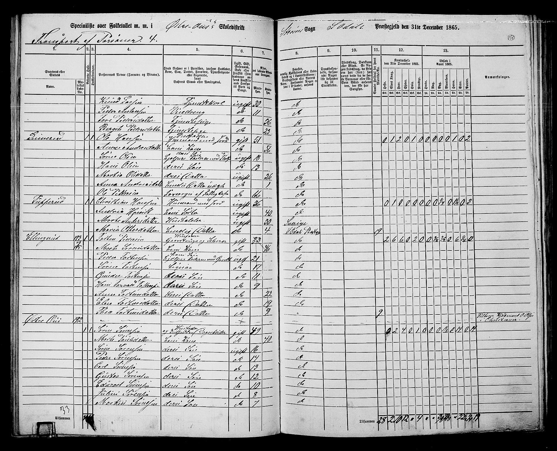 RA, 1865 census for Sør-Odal, 1865, p. 120