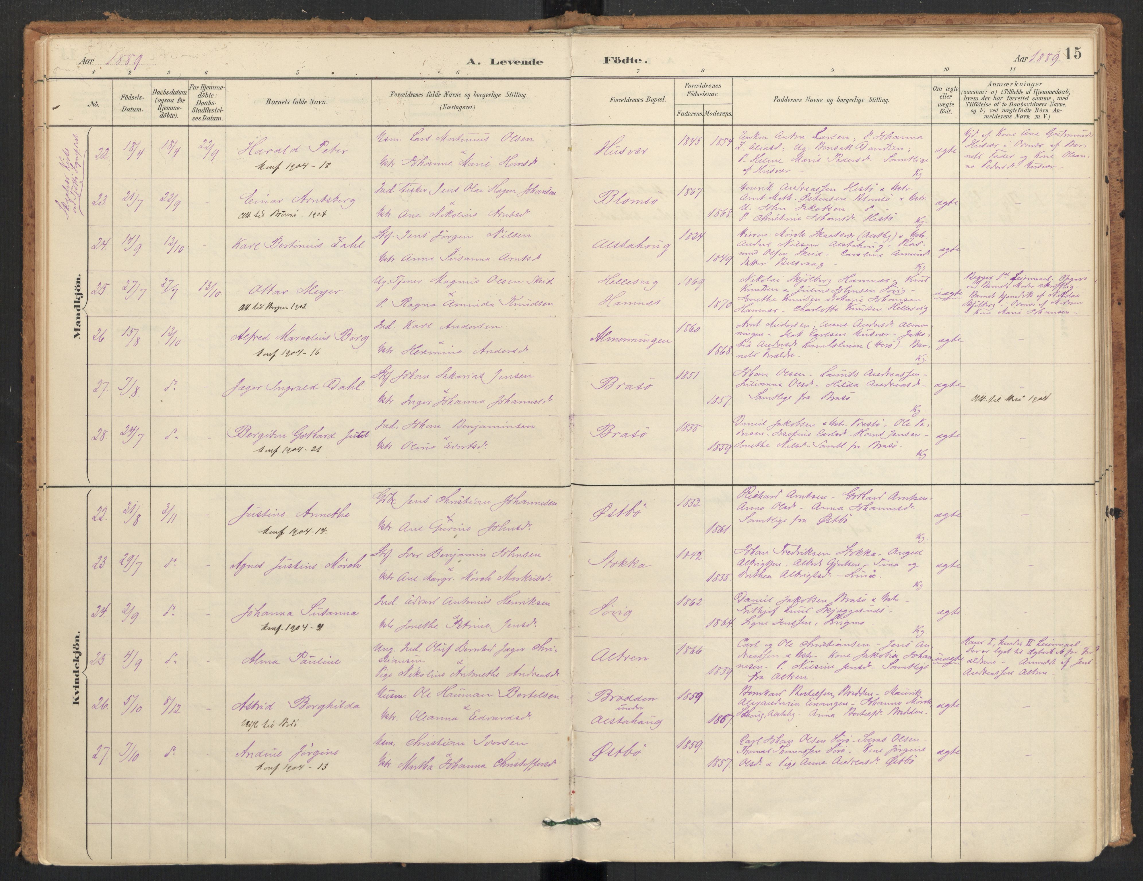 Ministerialprotokoller, klokkerbøker og fødselsregistre - Nordland, AV/SAT-A-1459/830/L0453: Parish register (official) no. 830A17, 1886-1911, p. 15