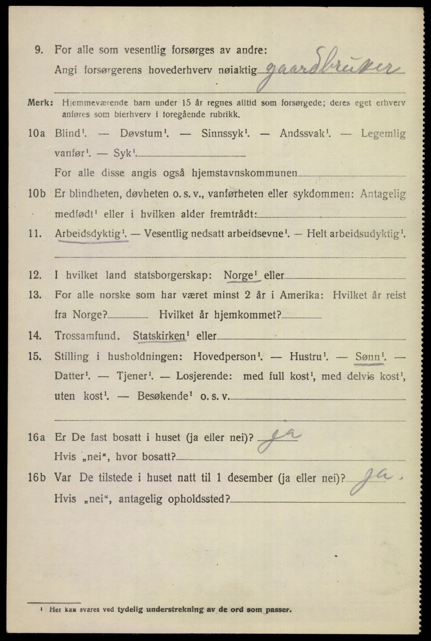 SAKO, 1920 census for Nes (Buskerud), 1920, p. 1023