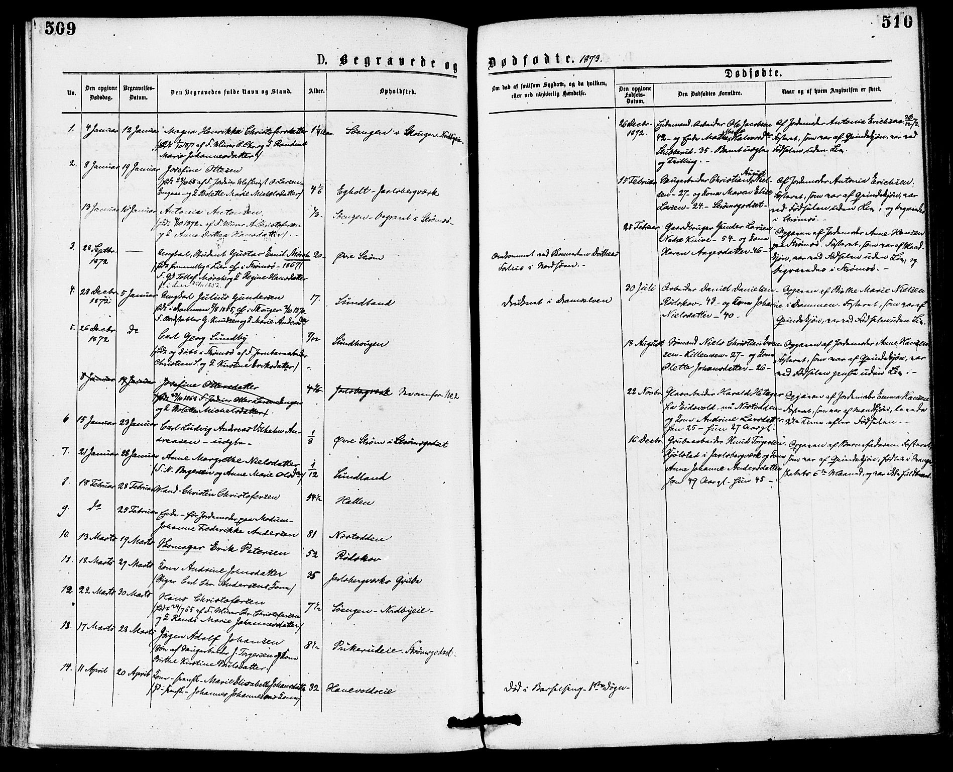 Skoger kirkebøker, SAKO/A-59/F/Fa/L0005: Parish register (official) no. I 5, 1873-1884, p. 509-510