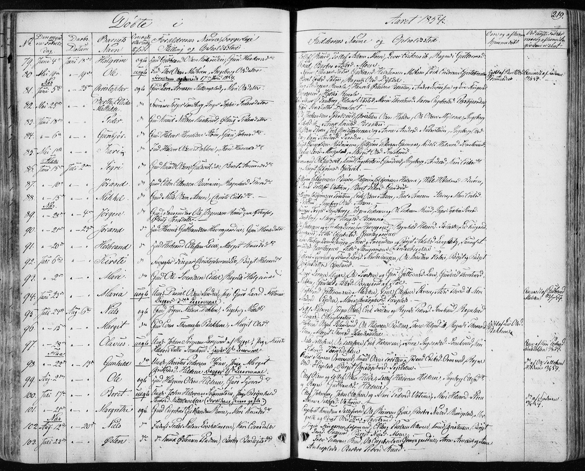 Nes kirkebøker, SAKO/A-236/F/Fa/L0009: Parish register (official) no. 9, 1834-1863, p. 219