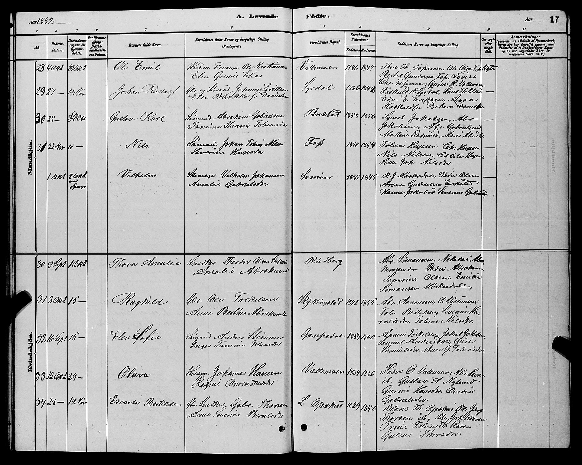 Sør-Audnedal sokneprestkontor, AV/SAK-1111-0039/F/Fb/Fbb/L0005: Parish register (copy) no. B 5, 1880-1892, p. 17