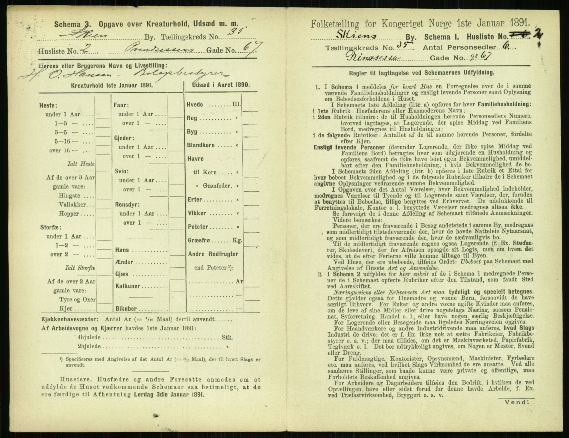 RA, 1891 census for 0806 Skien, 1891, p. 1352