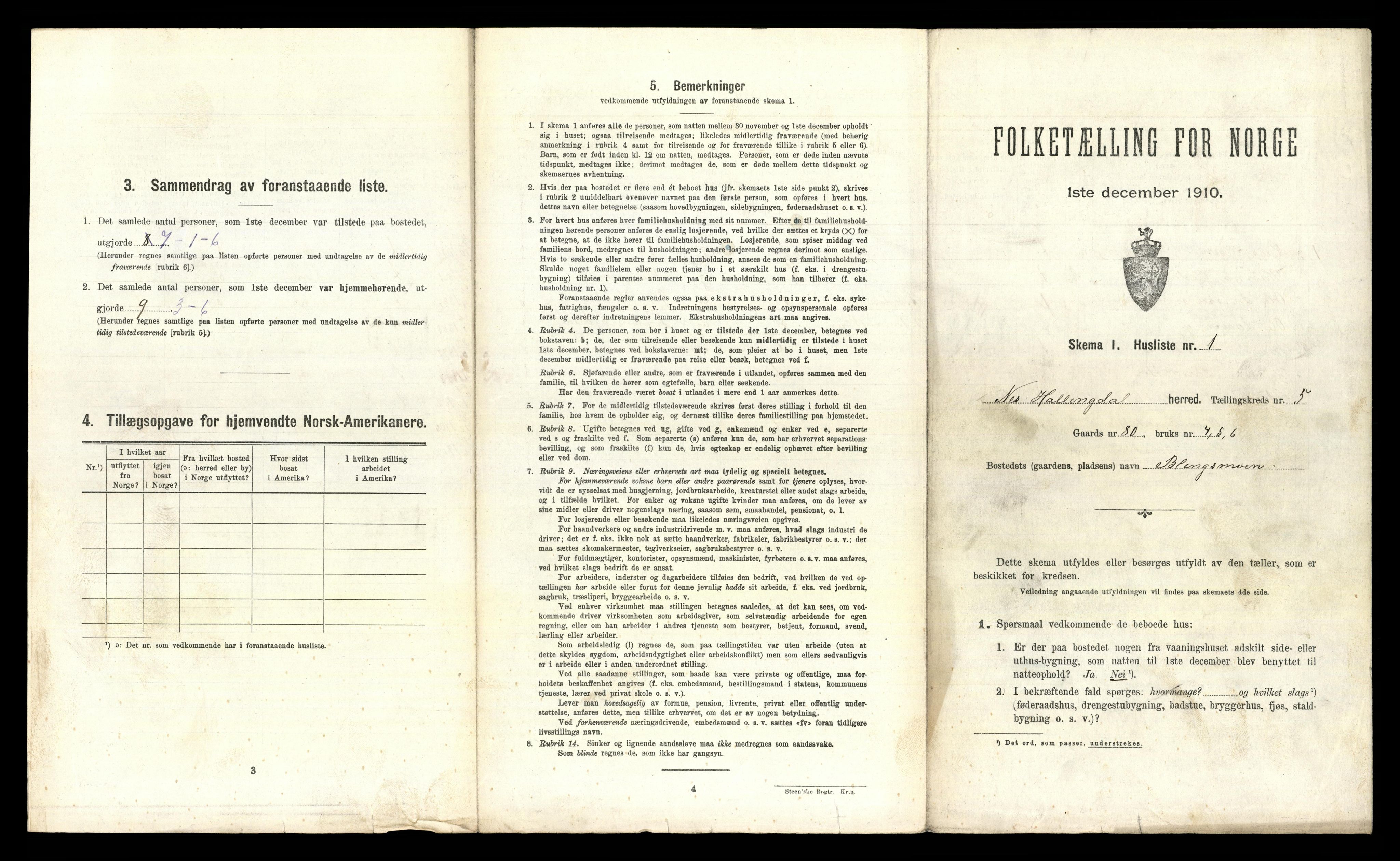 RA, 1910 census for Nes, 1910, p. 318