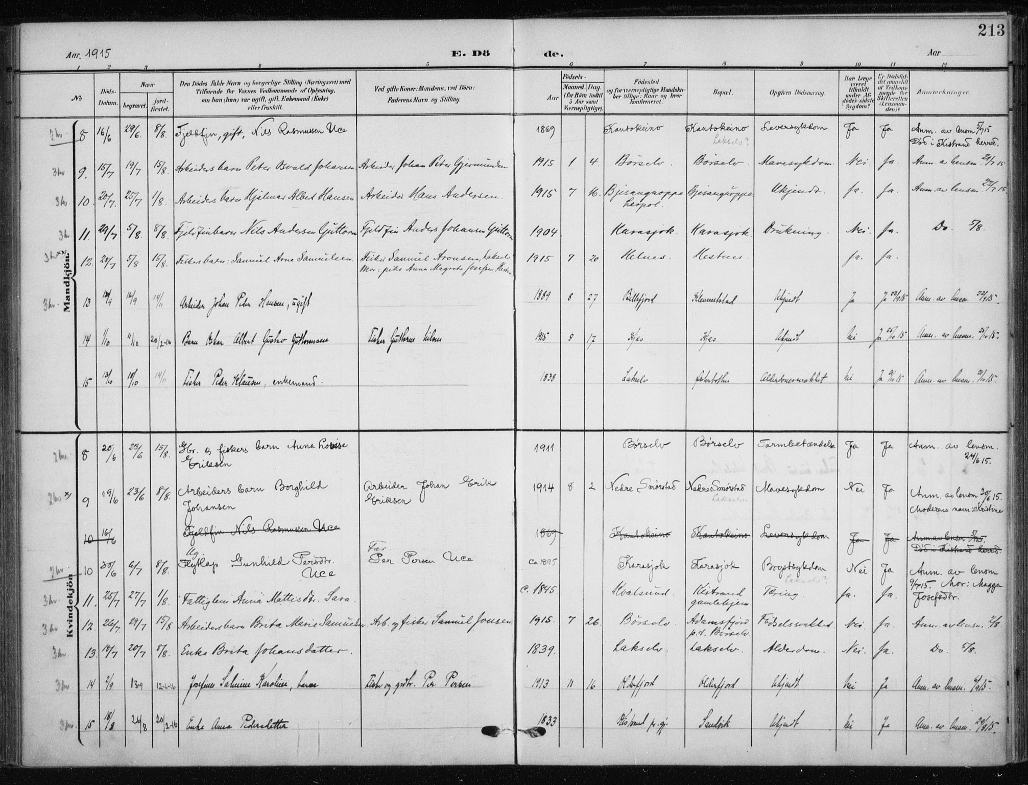 Kistrand/Porsanger sokneprestembete, AV/SATØ-S-1351/H/Ha/L0014.kirke: Parish register (official) no. 14, 1908-1917, p. 213