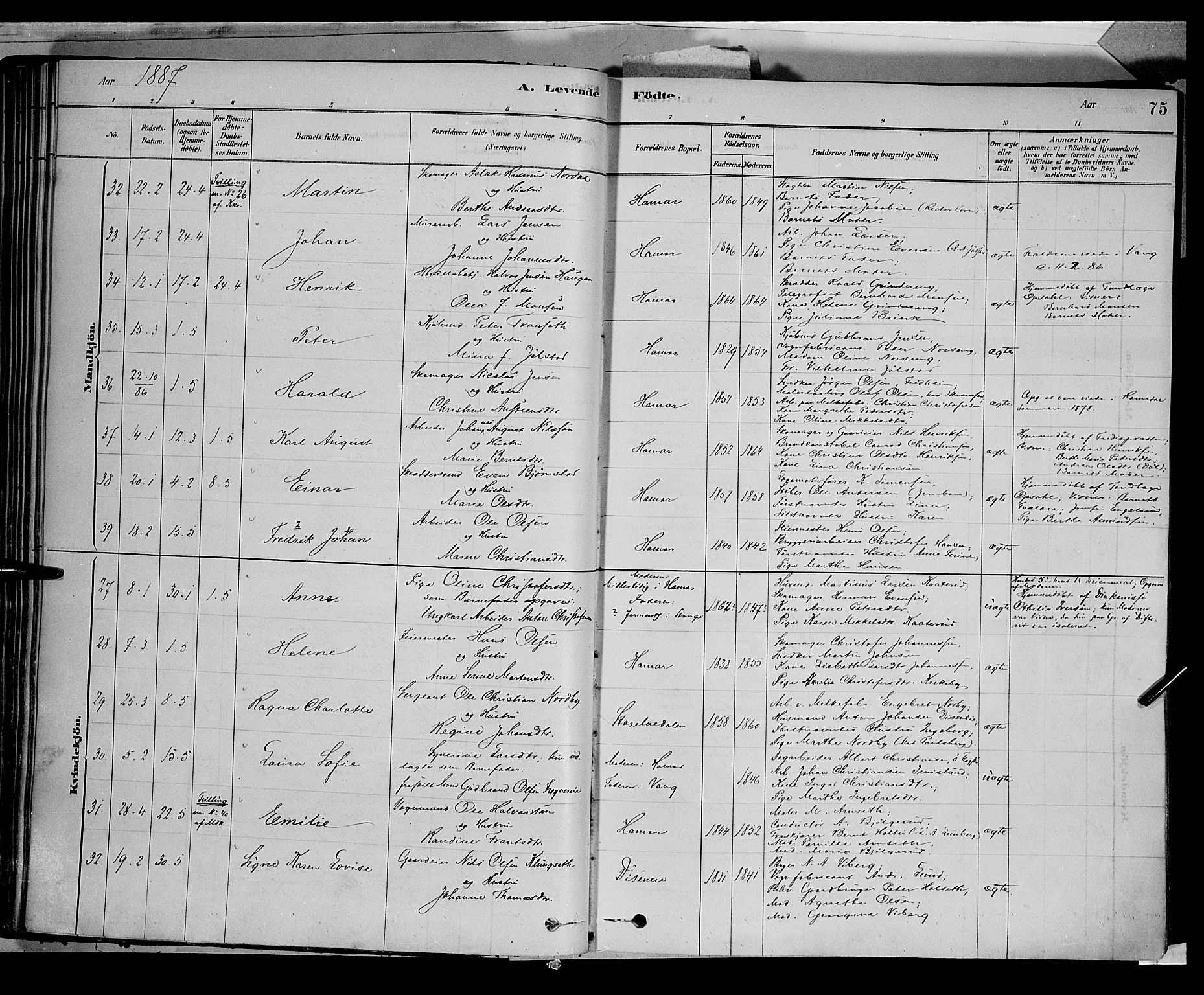 Vang prestekontor, Hedmark, AV/SAH-PREST-008/H/Ha/Haa/L0016: Parish register (official) no. 16, 1878-1889, p. 75