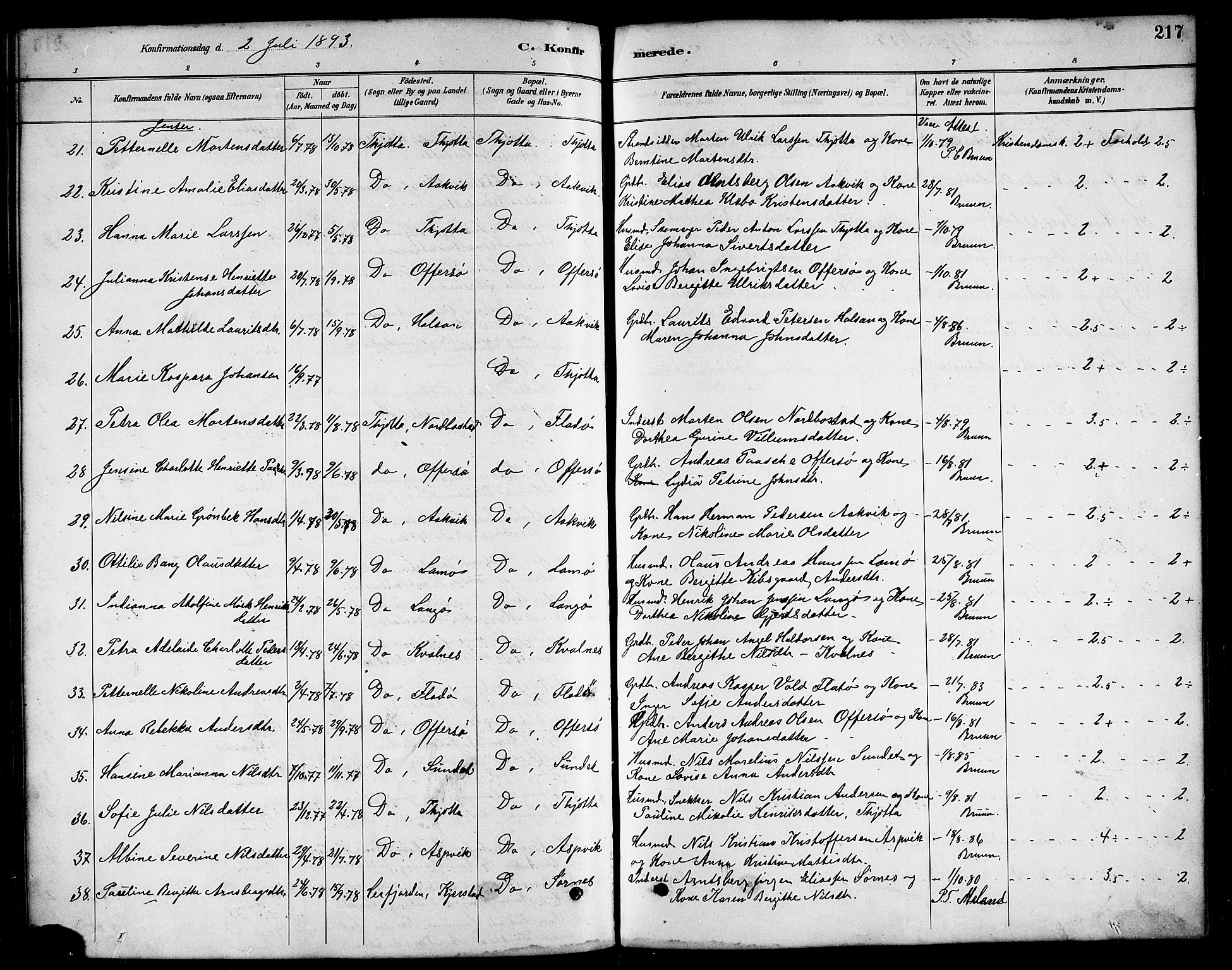 Ministerialprotokoller, klokkerbøker og fødselsregistre - Nordland, AV/SAT-A-1459/817/L0268: Parish register (copy) no. 817C03, 1884-1920, p. 217