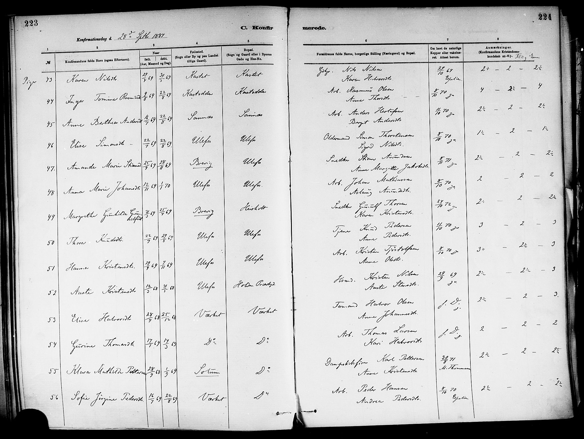 Holla kirkebøker, AV/SAKO-A-272/F/Fa/L0008: Parish register (official) no. 8, 1882-1897, p. 223